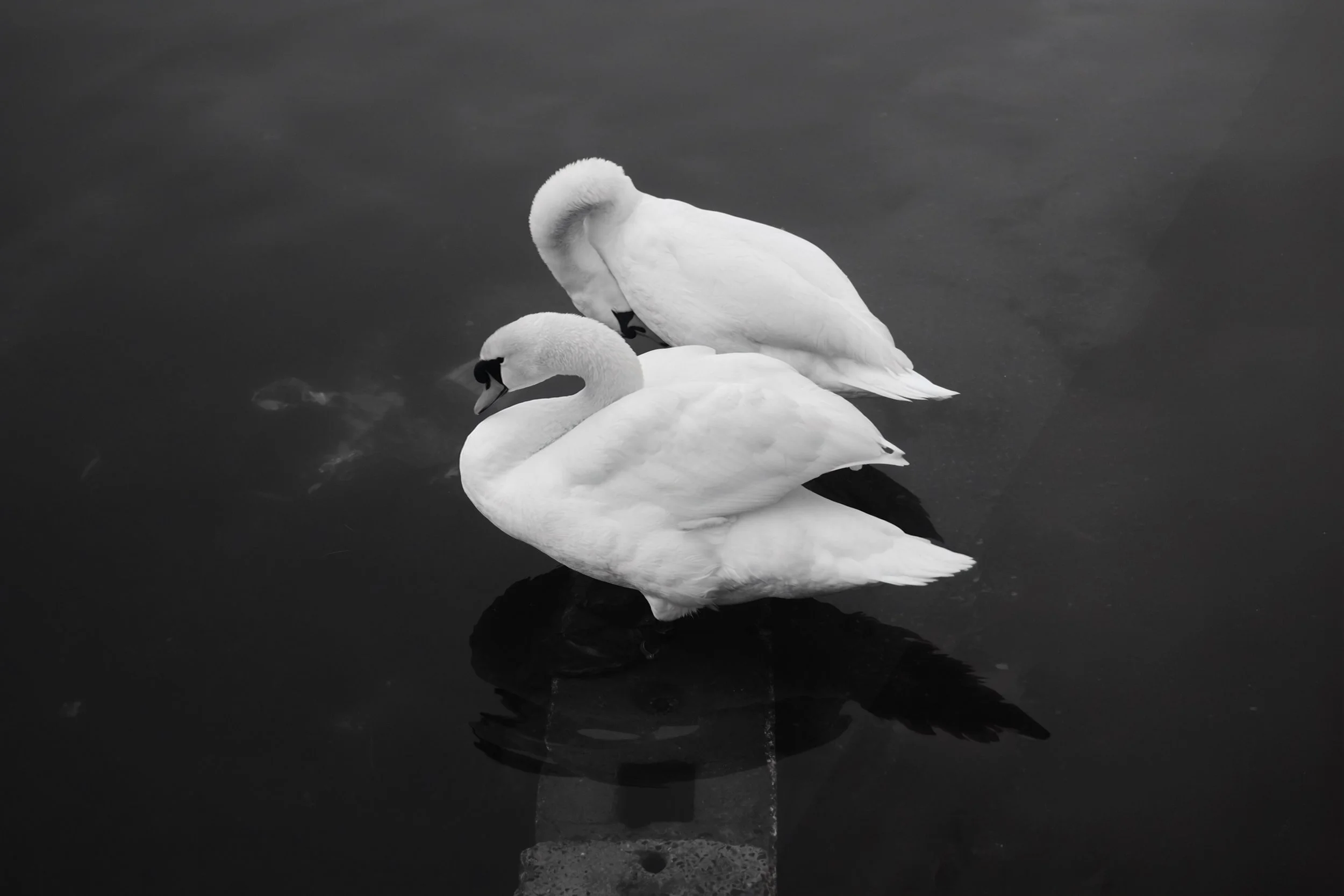 DSCF0158.jpeg