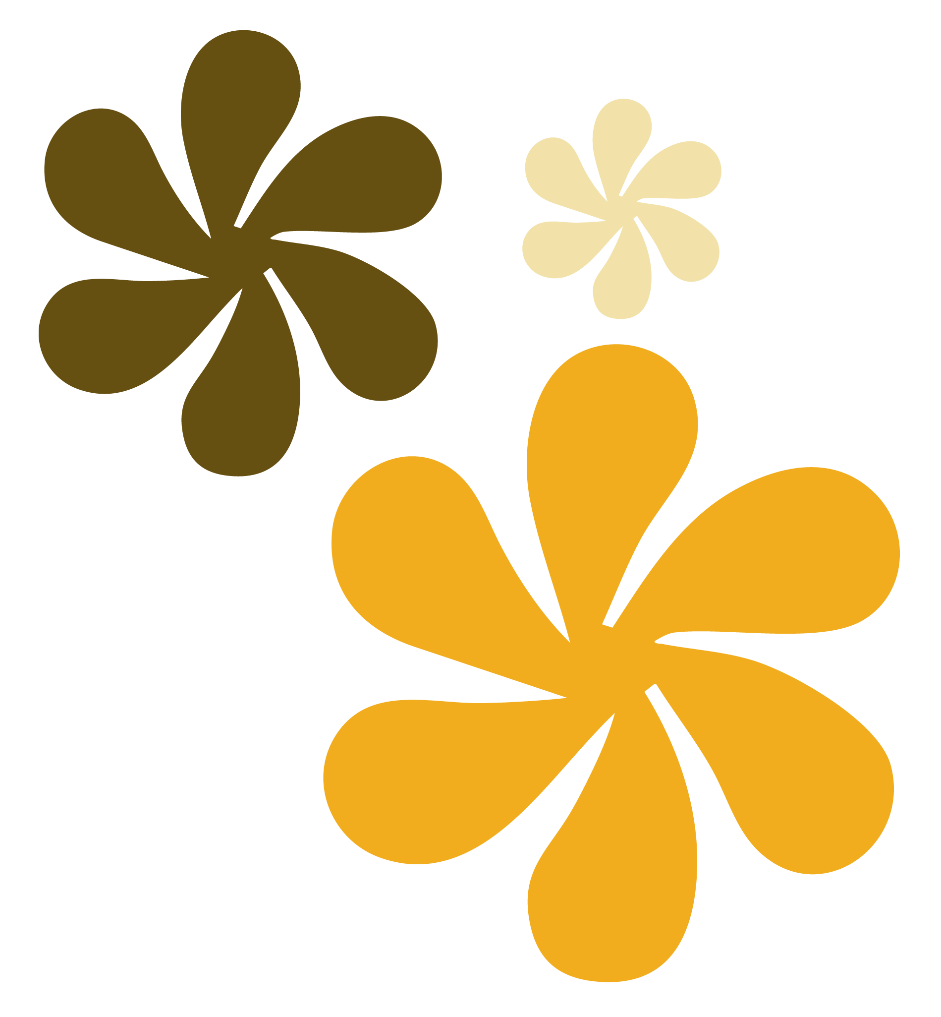 Decorative floral graphic
