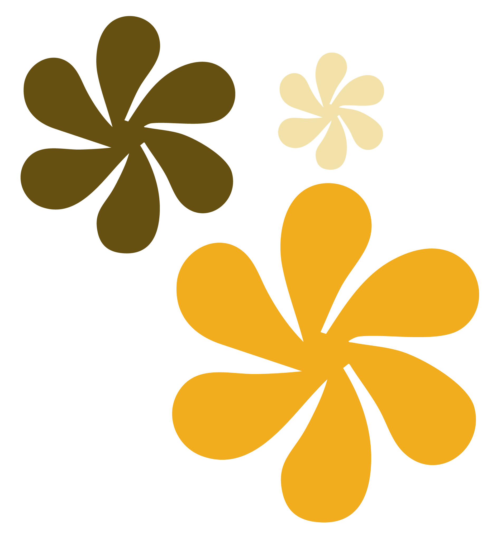 Decorative floral graphic