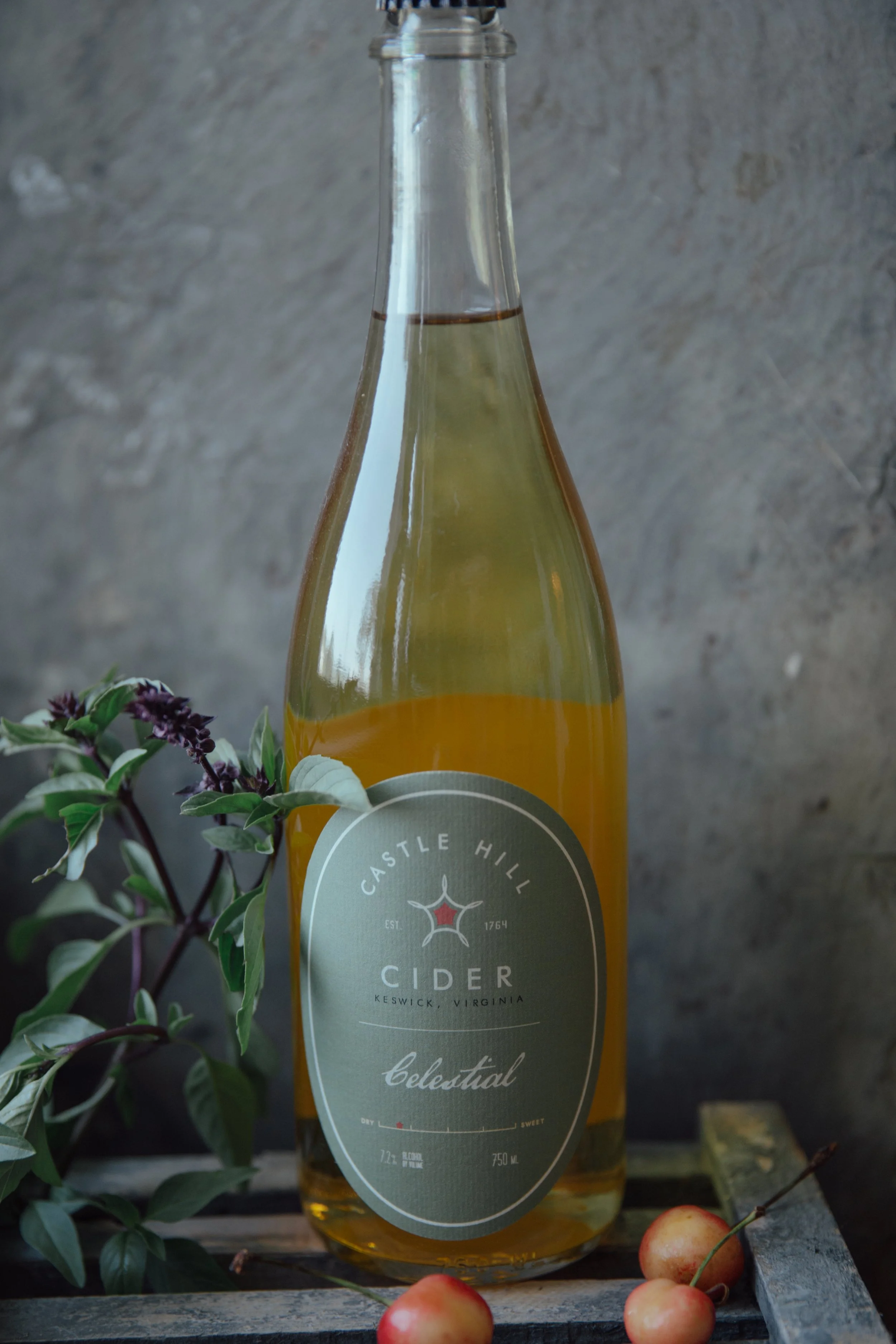 CastleHillStillLife-6.JPG