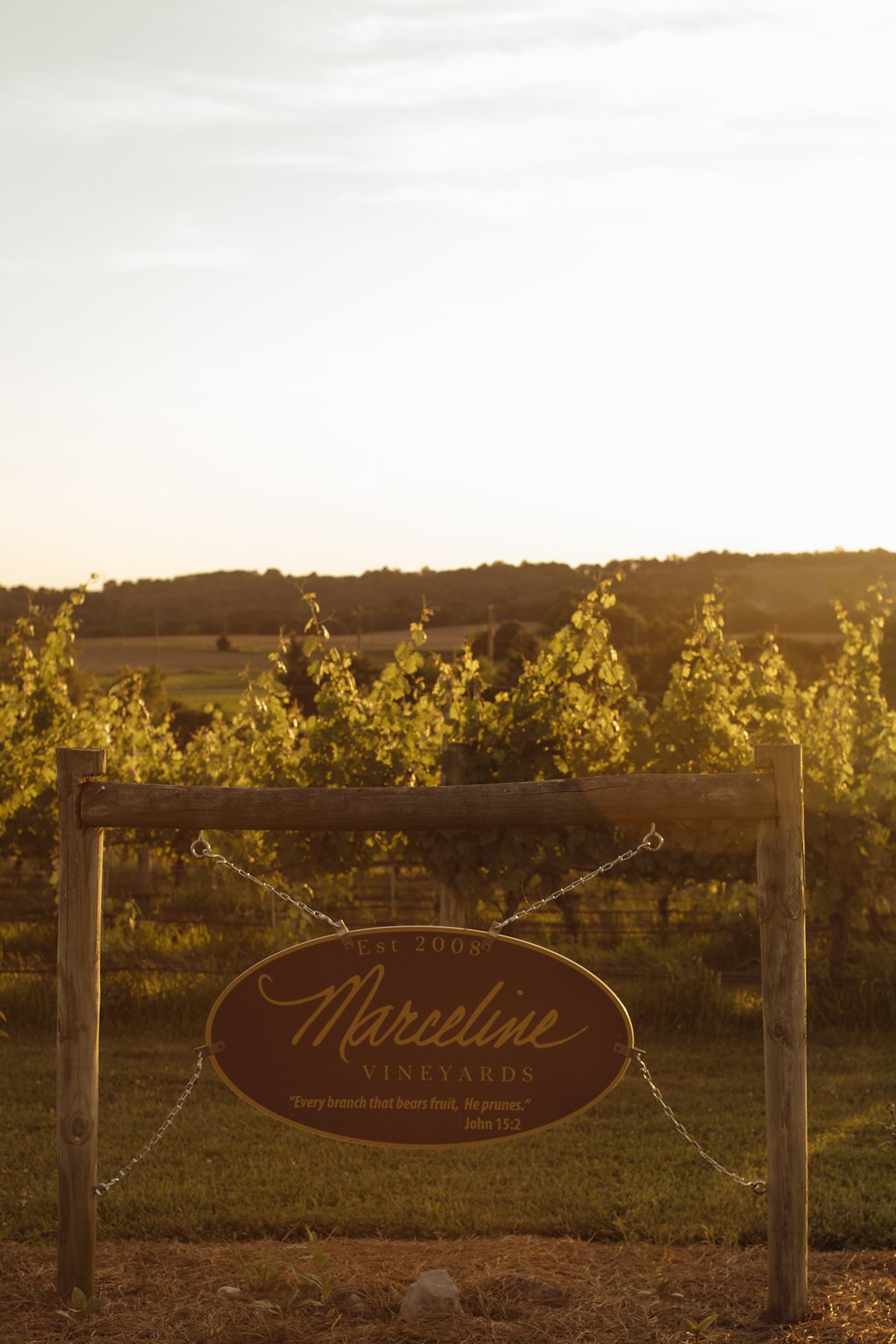 MarcelineVineyardEarlySummer-85.JPG