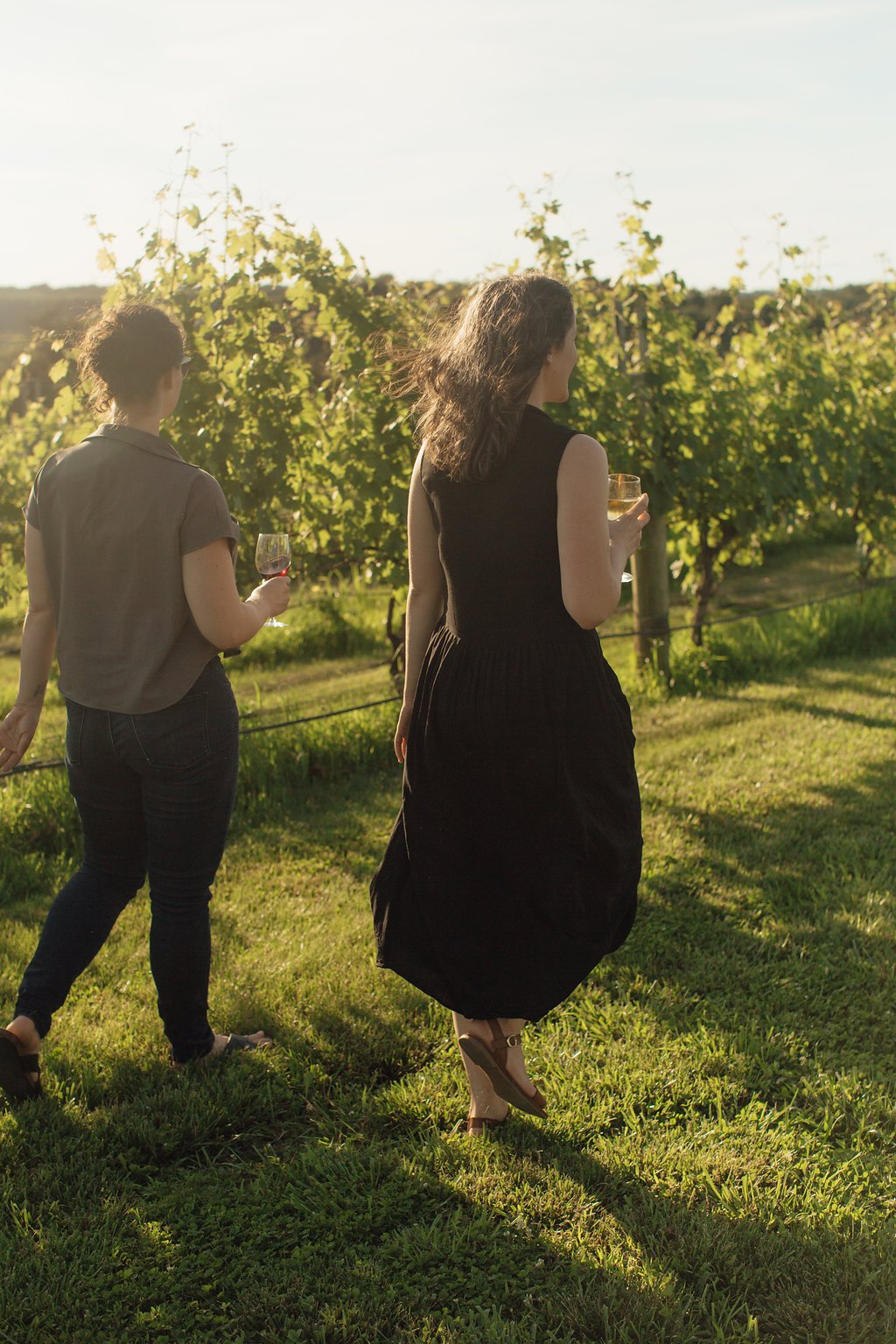 MarcelineVineyardEarlySummer-40.JPG