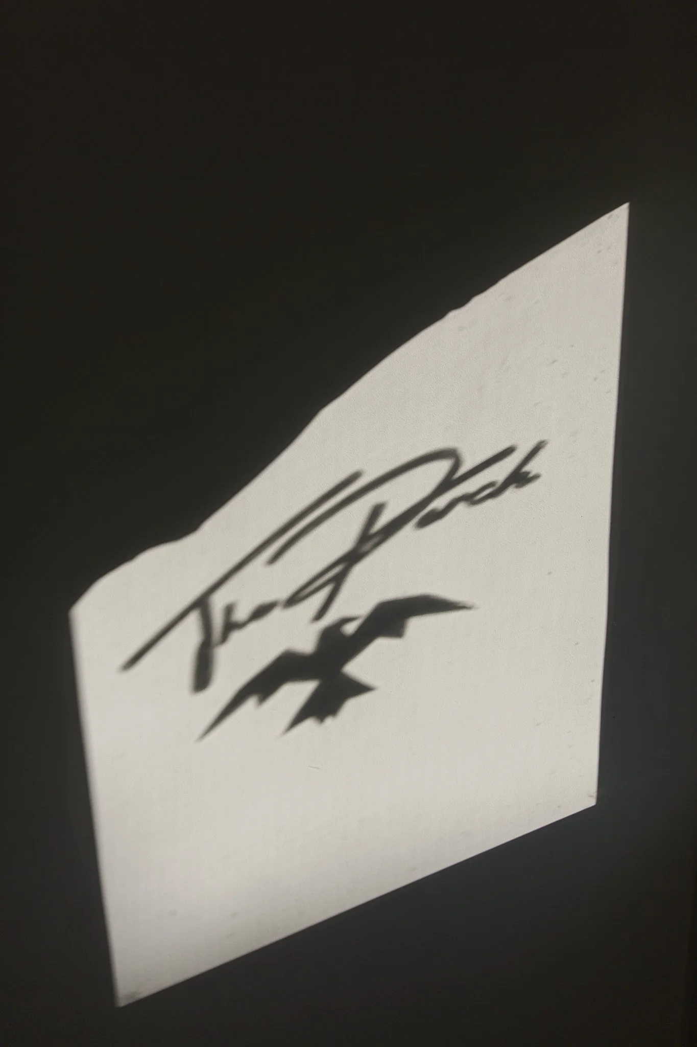 The Perch Lifestyle Shoot-14.jpg