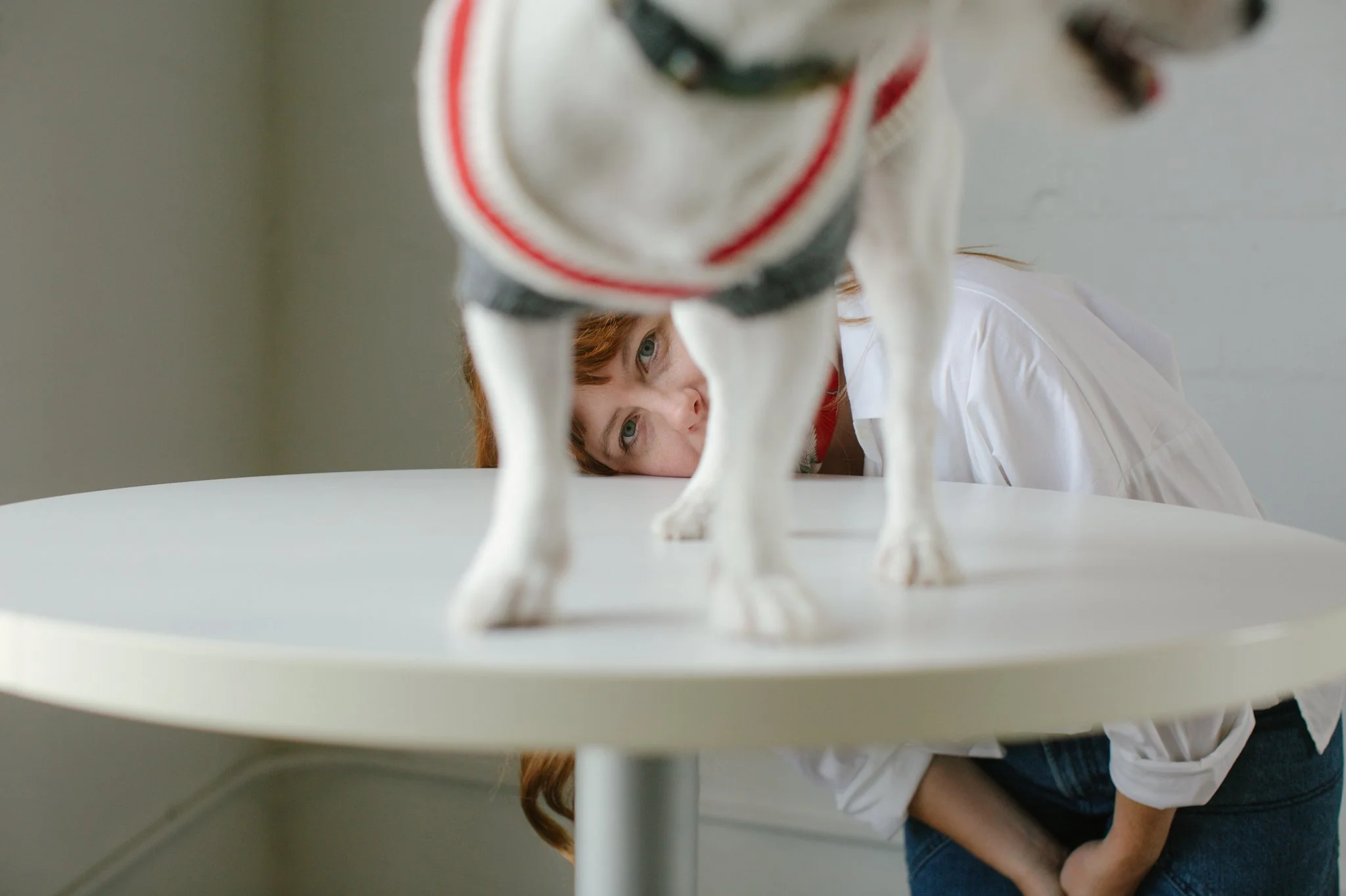 Katie & Hank
