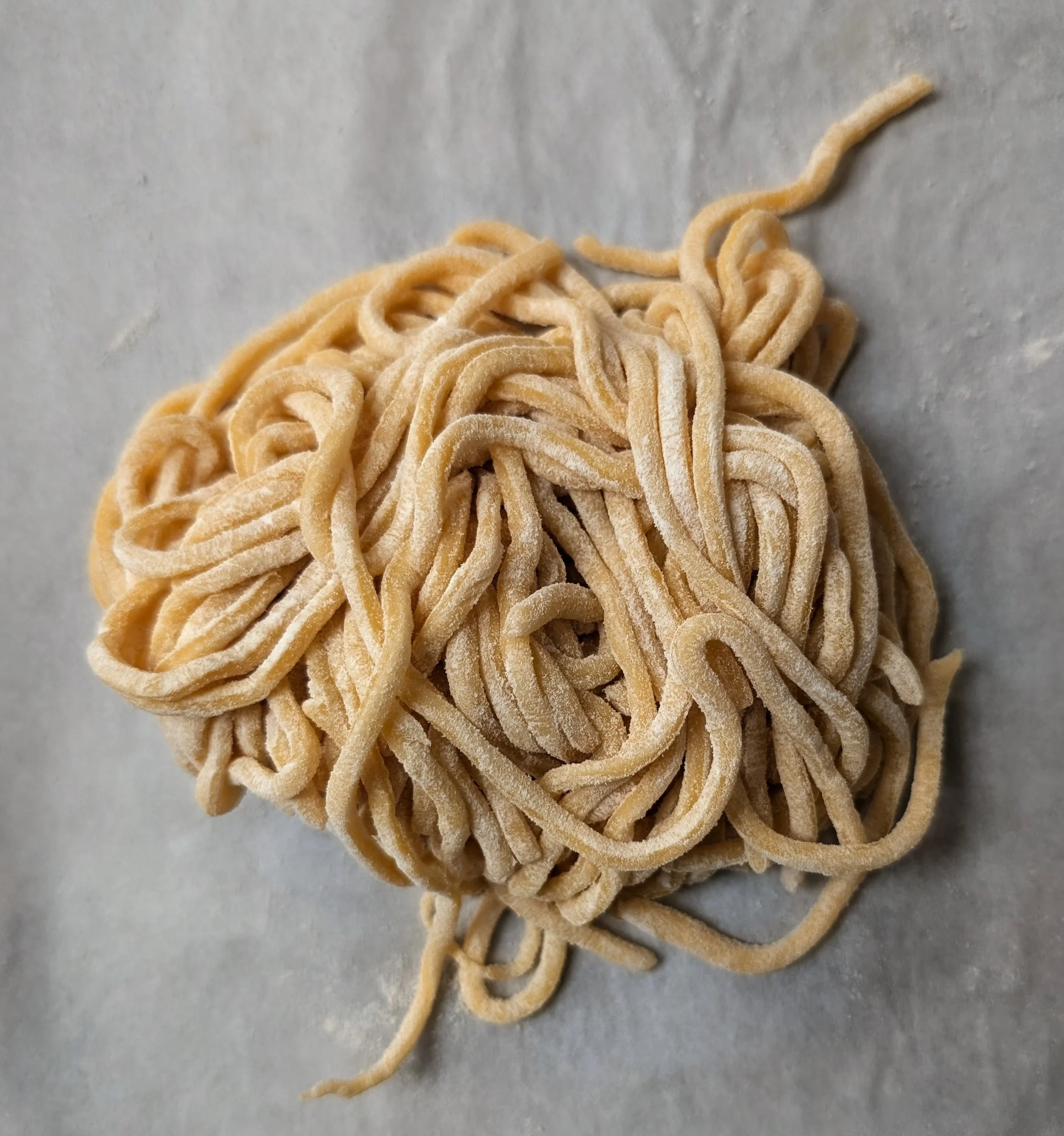 Fresh spaghetti
