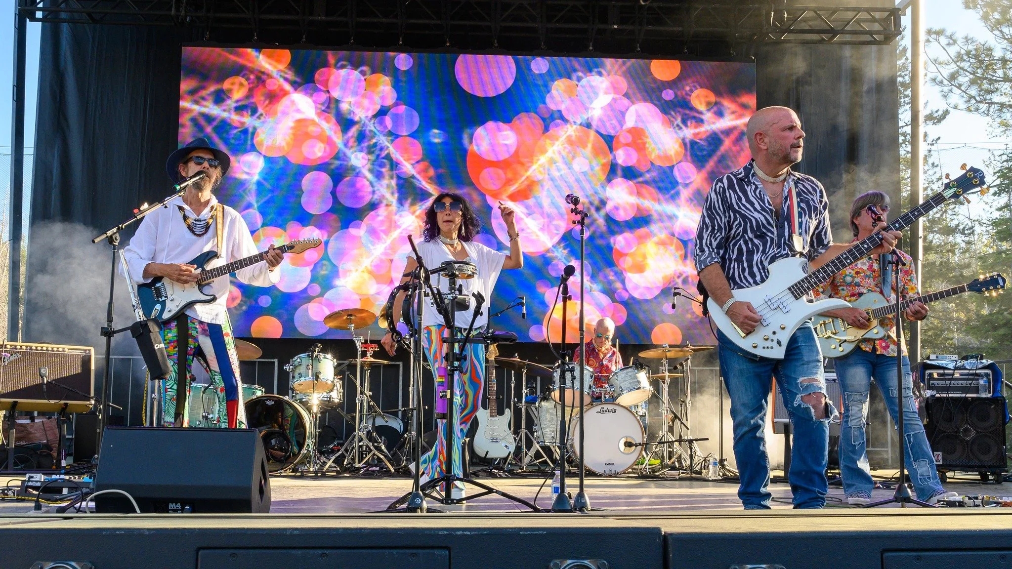 Down the Rabbit Hole