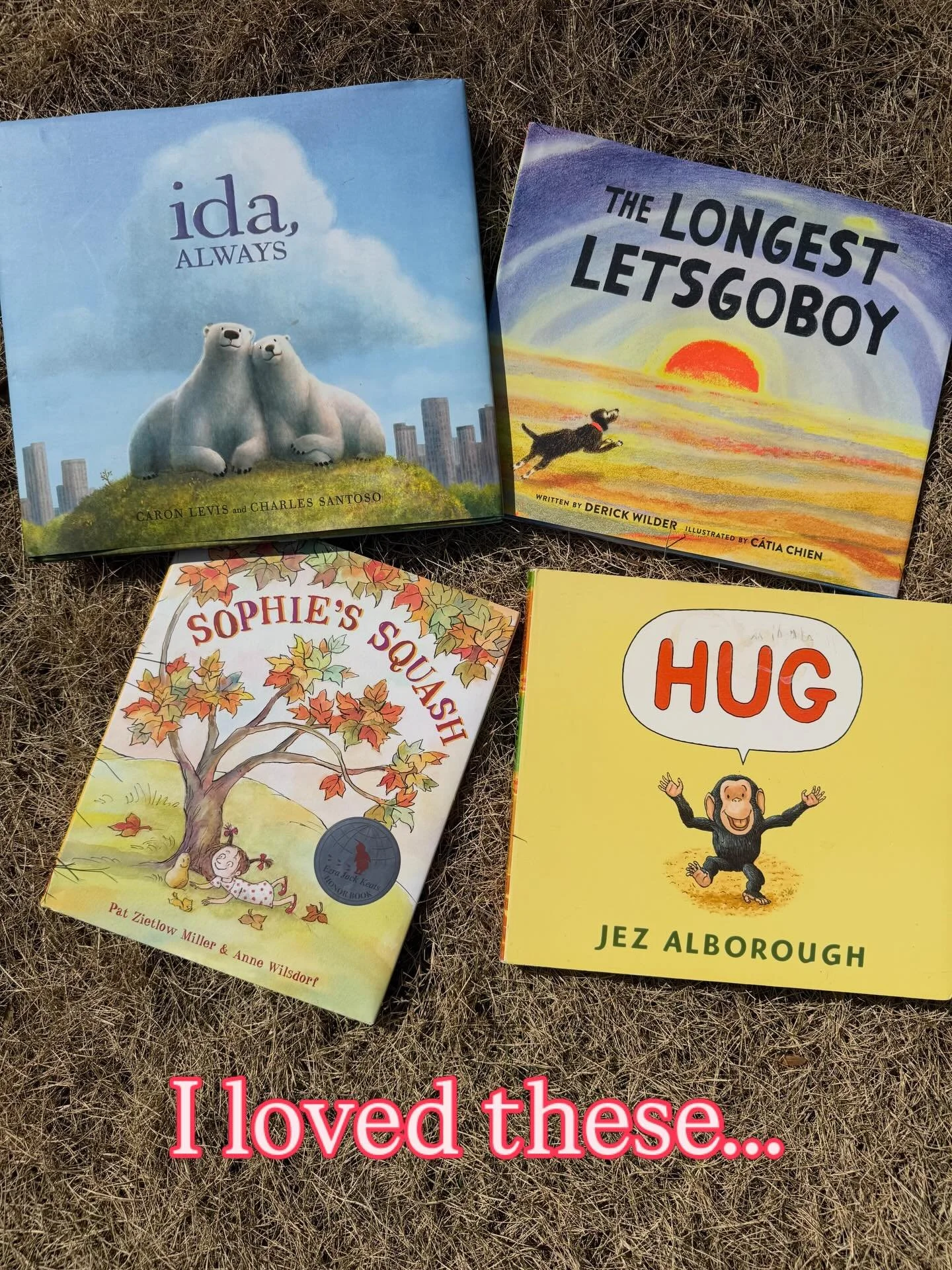 I posted that I&rsquo;m on a March joy kick, so it might seem counterintuitive to post about sad stories. But these four books are some of my most favorite. They each handle grief and loss so creatively and so powerfully&mdash; and then deliver a big