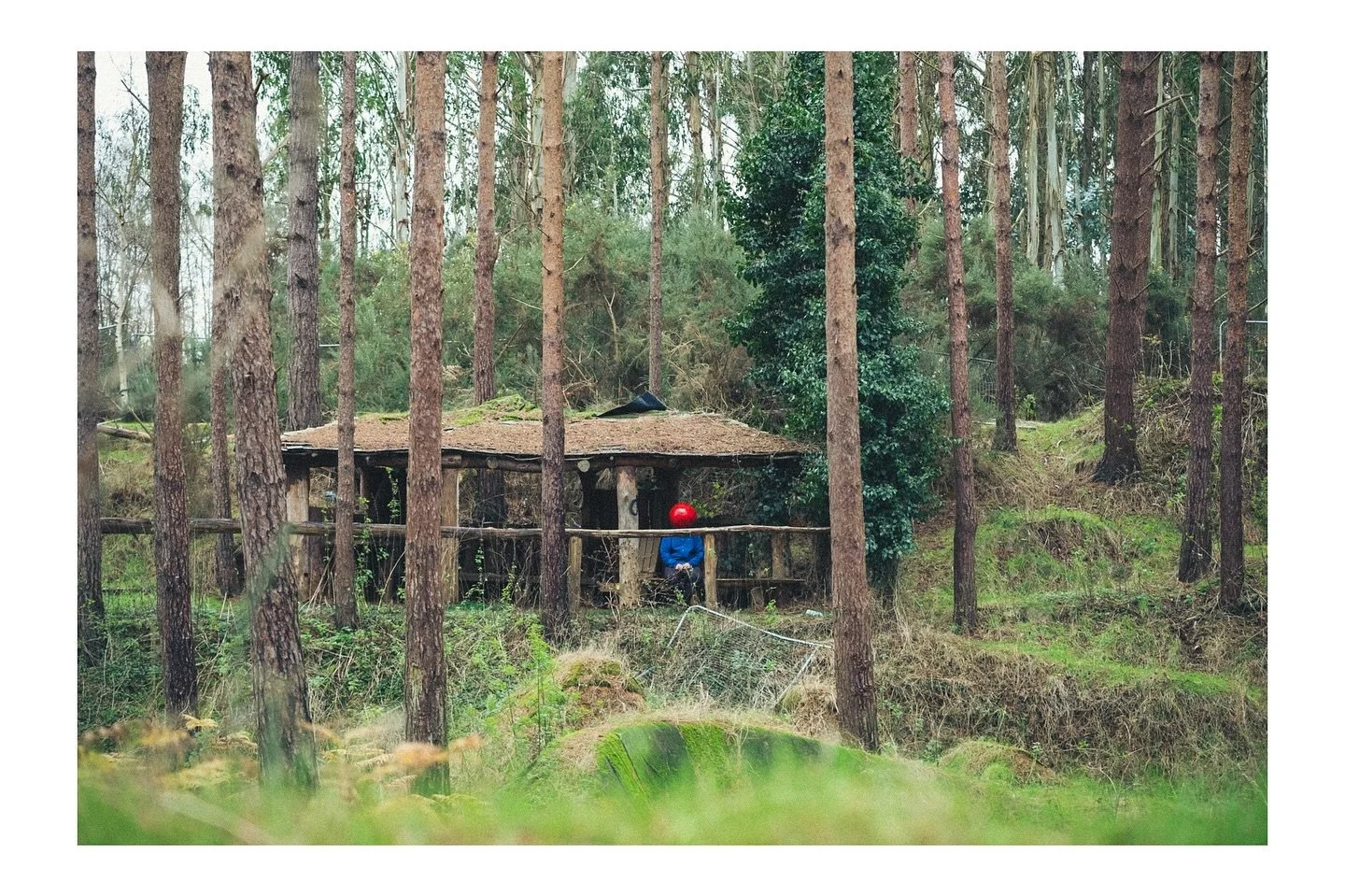 363/365__________________________________#fujifilm
