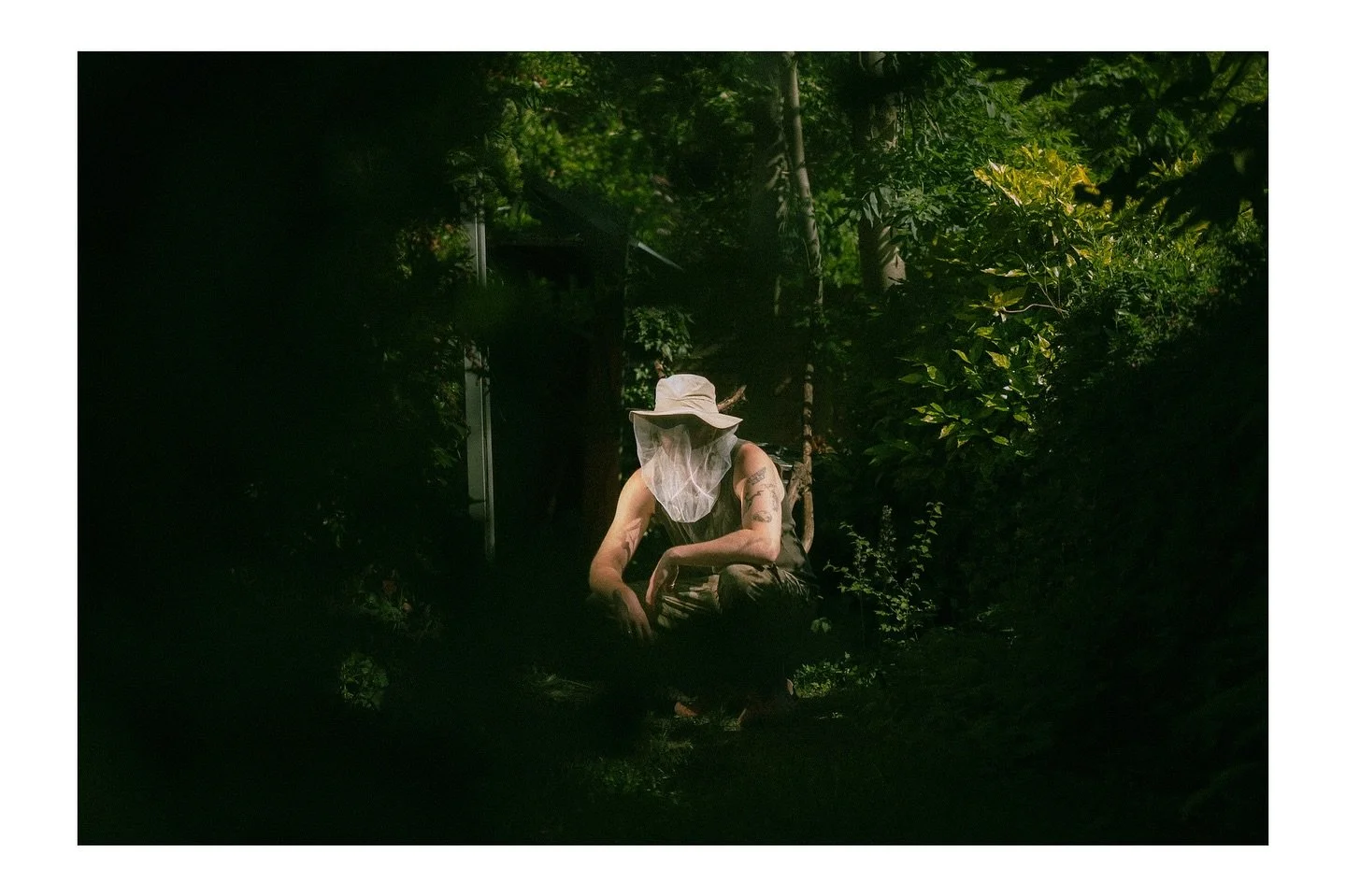 365/365_______________#fujifilm - FINISHED 🎉🎊🎉