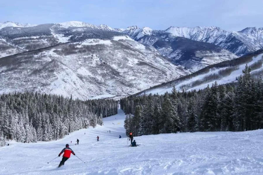 image6.jpg