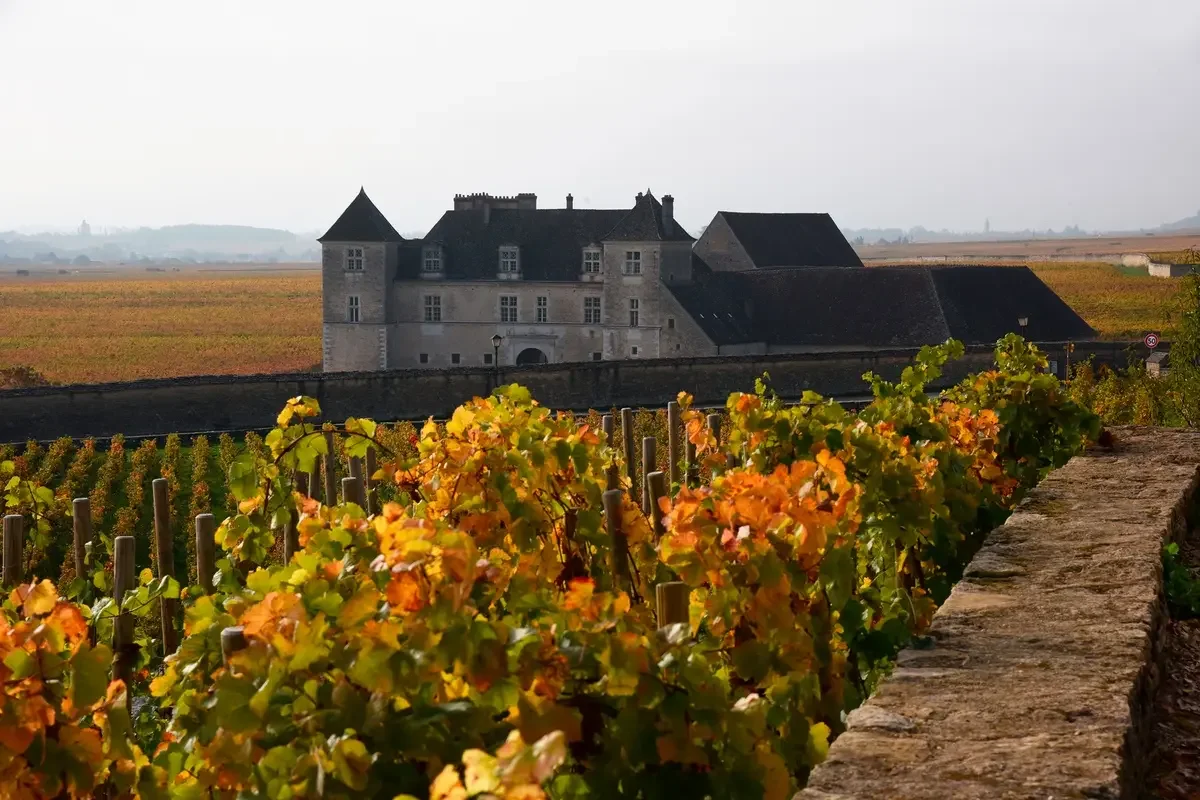 Burgundy | France