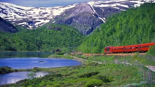 Scandinavian | Train