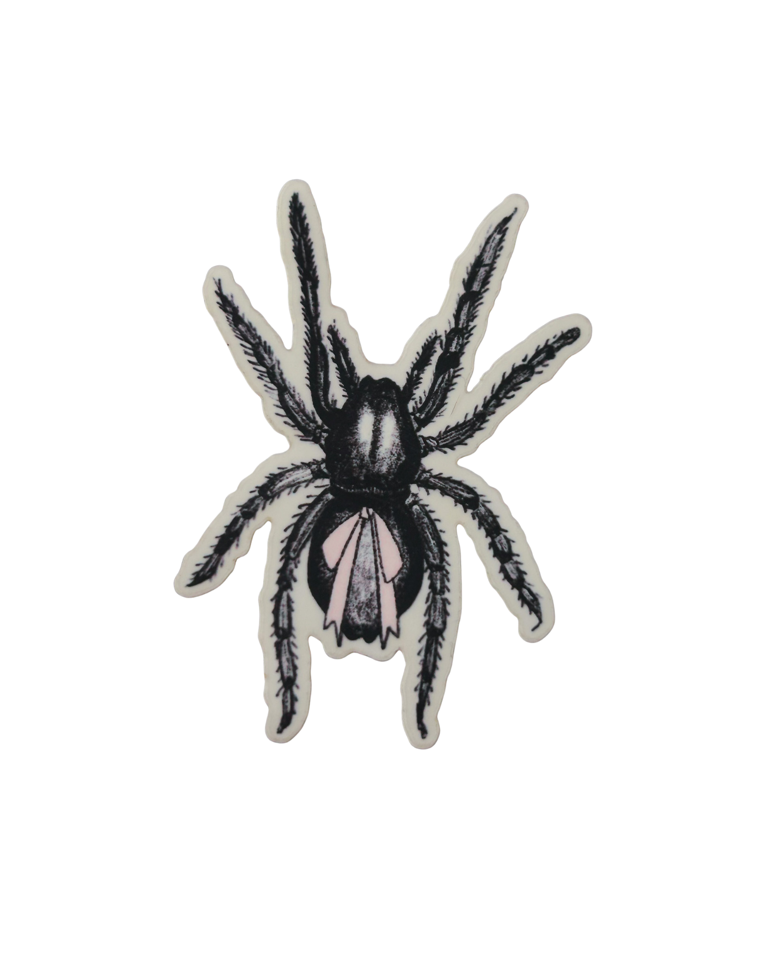 spider sticker.png
