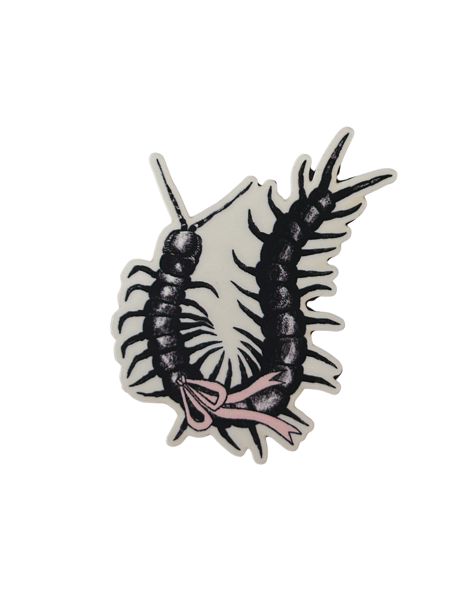 spider sticker (1).png