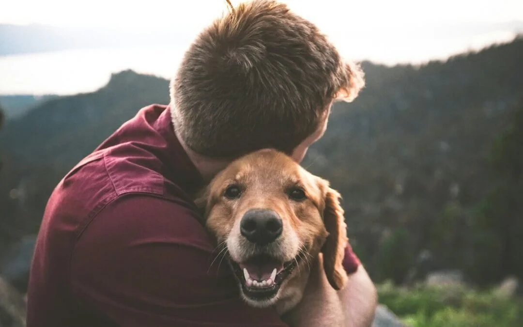 The Importance of Self-Compassion in Online Therapy for Survivors of Interpersonal Violence