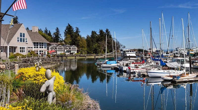 Online Trauma Therapy in Bainbridge Island