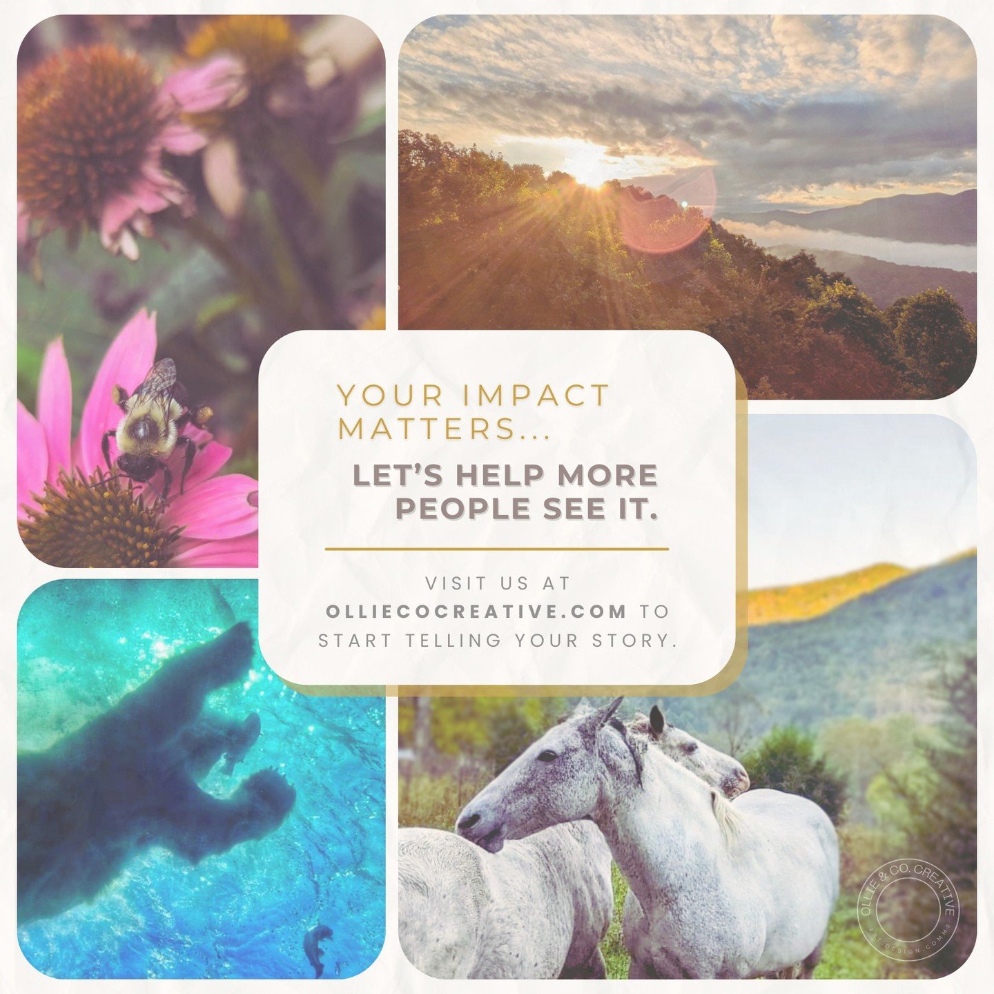 Your Mission Deserves to Be Seen - Let&rsquo;s Share It with Purpose! 
Nonprofits and small businesses have stories that deserve to be told, remembered, and shared. Whether you're advocating for change, supporting your community, or building somethin