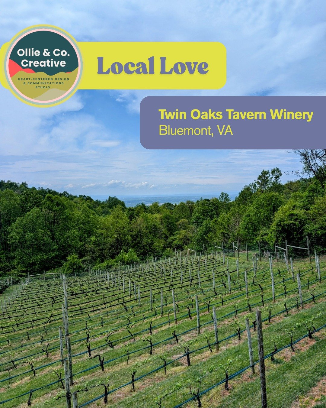 🌄 Local Love Spotlight 🌄
The Ollie &amp; Co. Creative crew took a little springtime weekend escape here in our favorite mountains, and we were so grateful to stumble upon something pretty special.

We made our way to @twin.oaks.winery in Bluemont, 