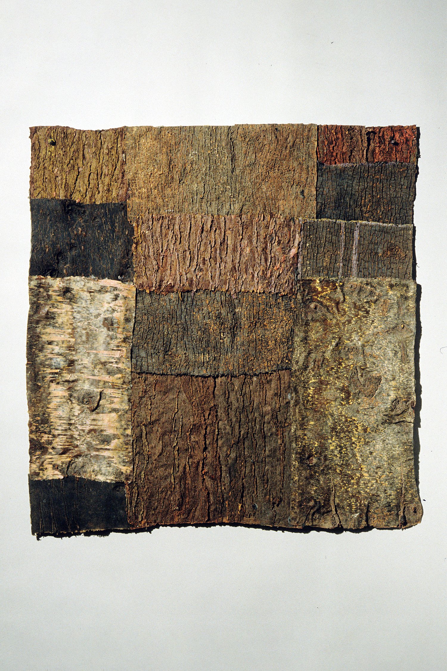 Tree Quilt III, 36 x 36 inches, rubber, pigment, 1999
