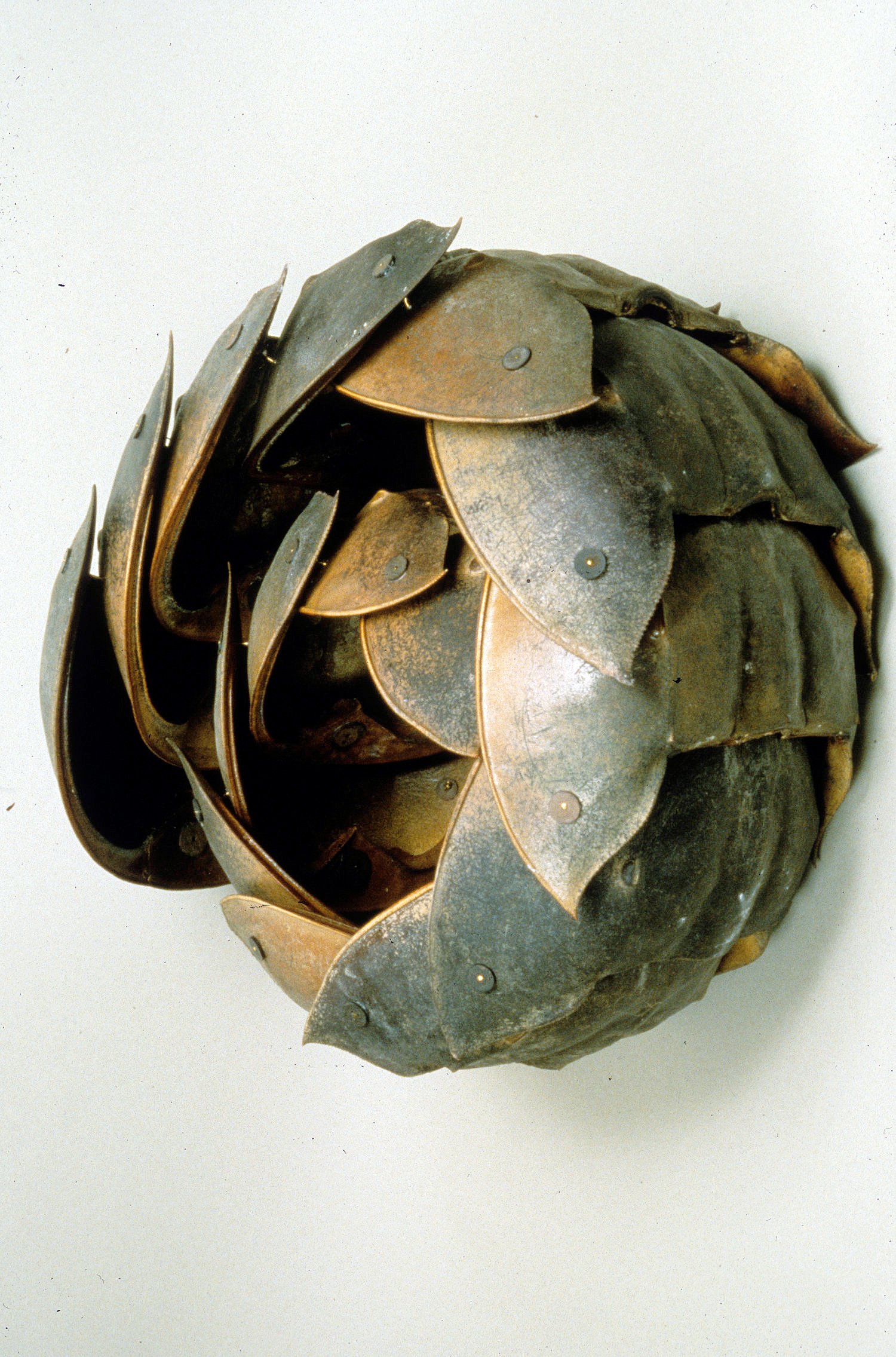 Horseshoe (Curled) II, 24 x 24 x 10 inches, horseshoe crab shells, coconut heishi, wire, 1999