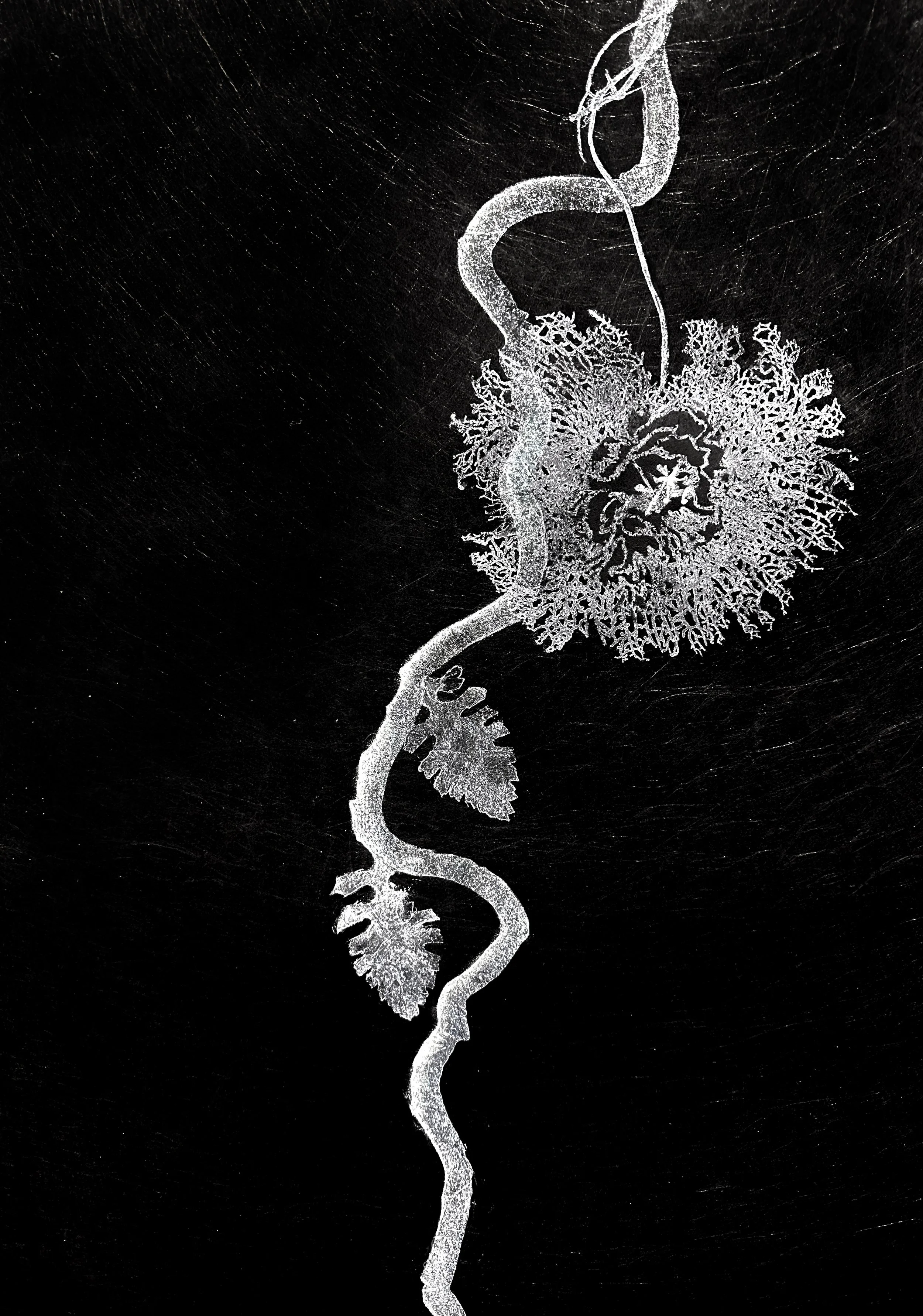 Monotype collage on Lutradur (detail), Akua Ink, Acrylic Ink, 108 x  112 inches, 2025