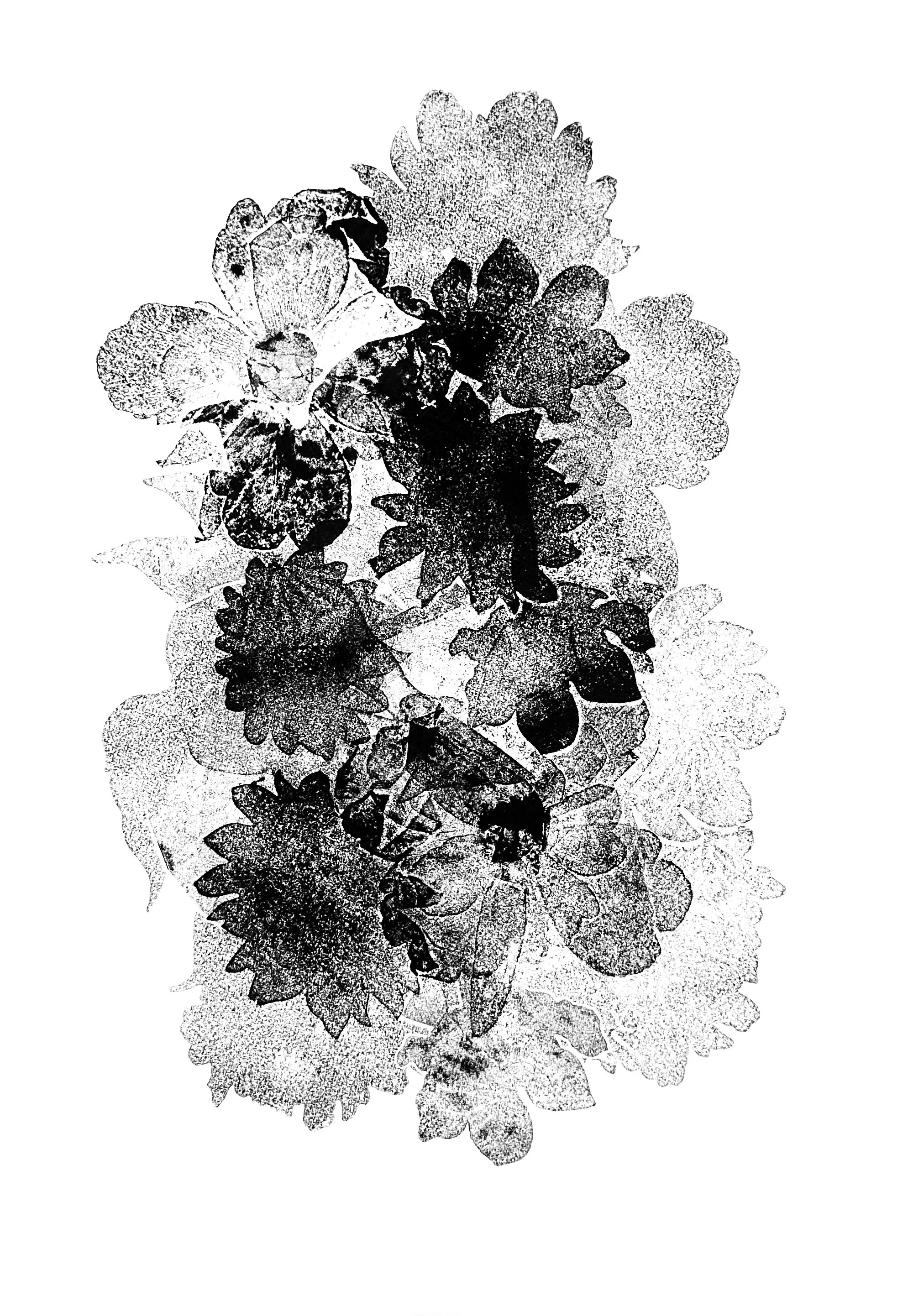 Day Bouquet #3, 2026, Monotype with Akua ink, 22 x 15.5 in
