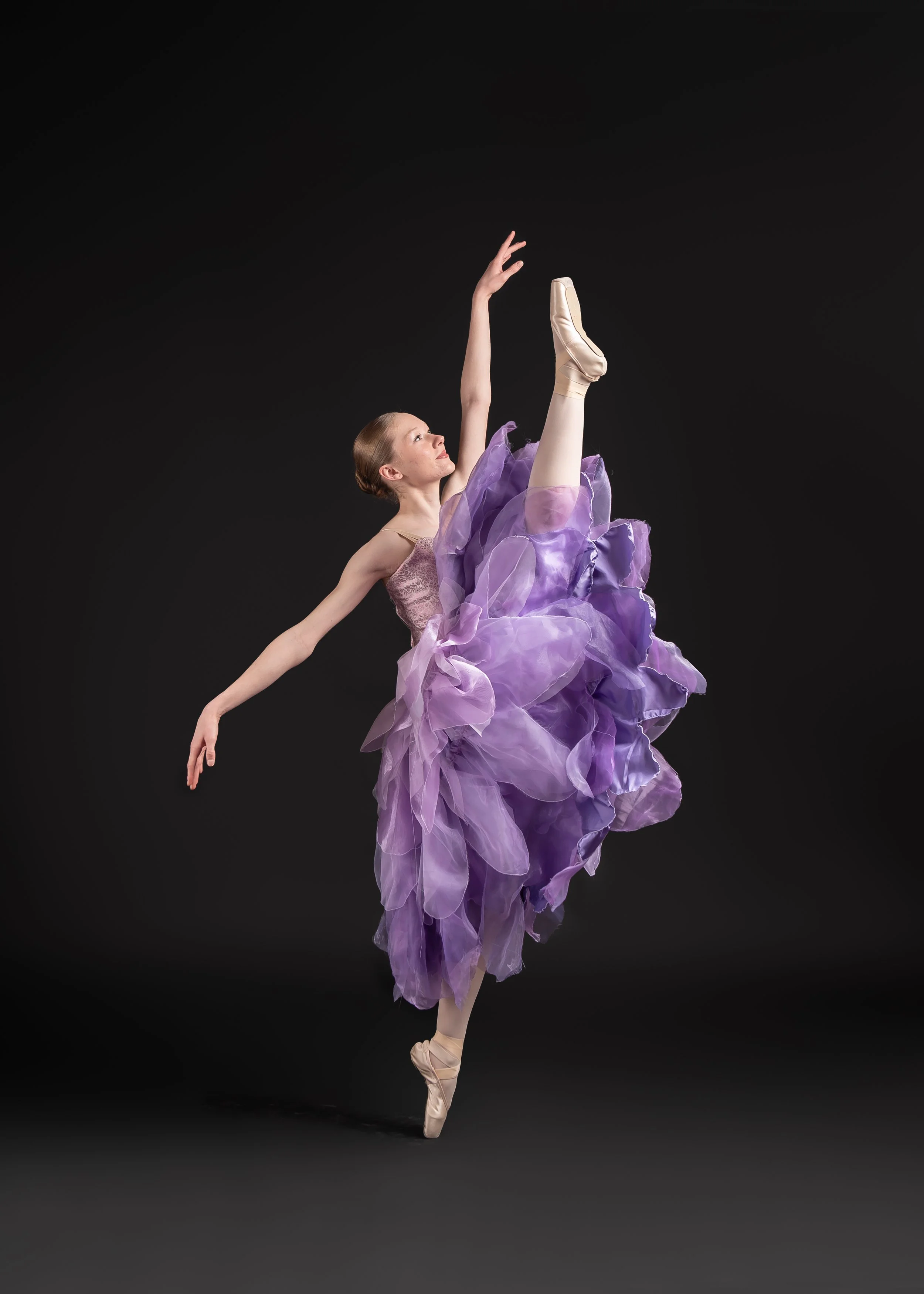 Waltz of the Flowers, The Nutcracker