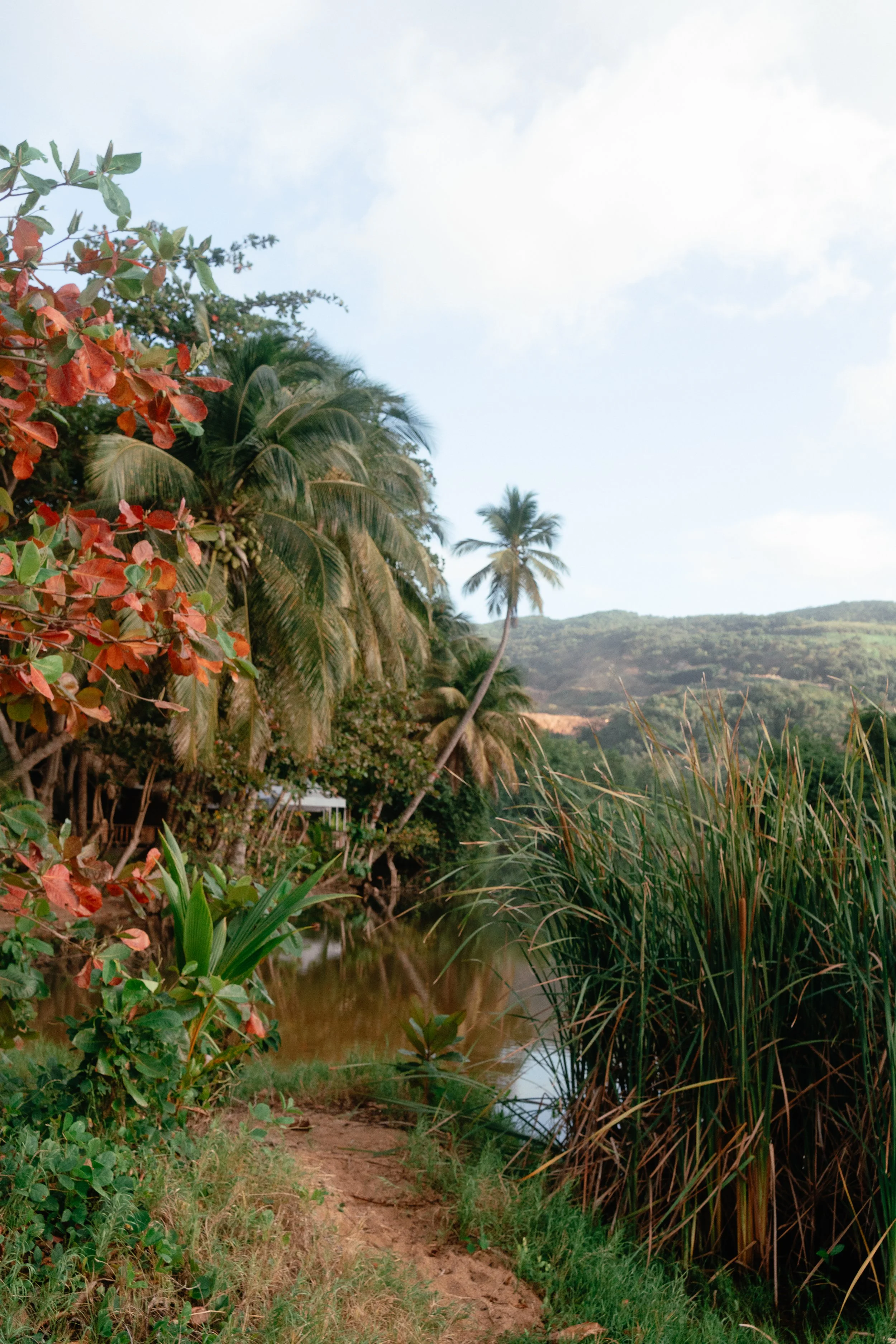 Séance photo famille Guadeloupe Deshaies (1).jpg