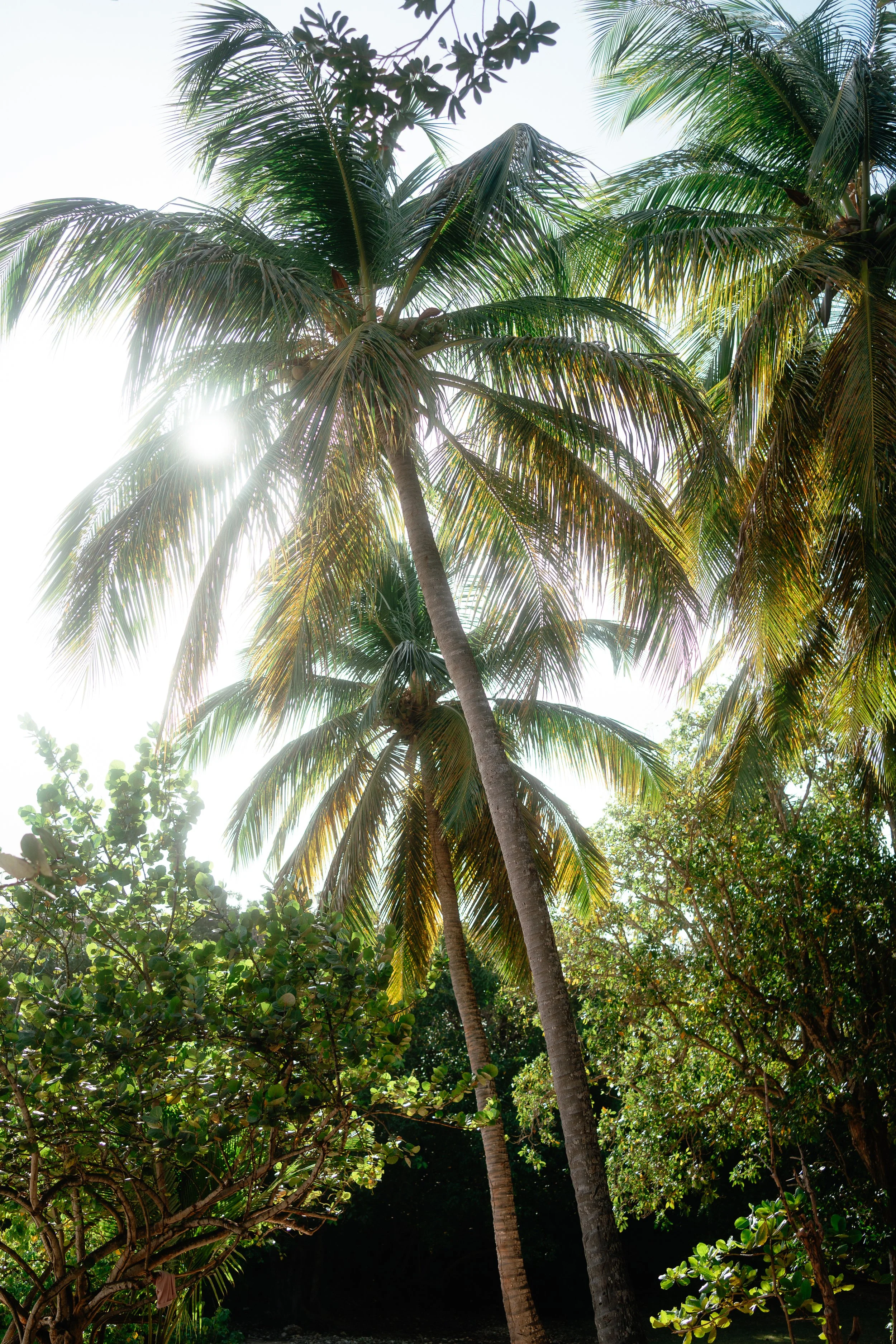 Shooting photo famille nombreuse Guadeloupe (2).jpg