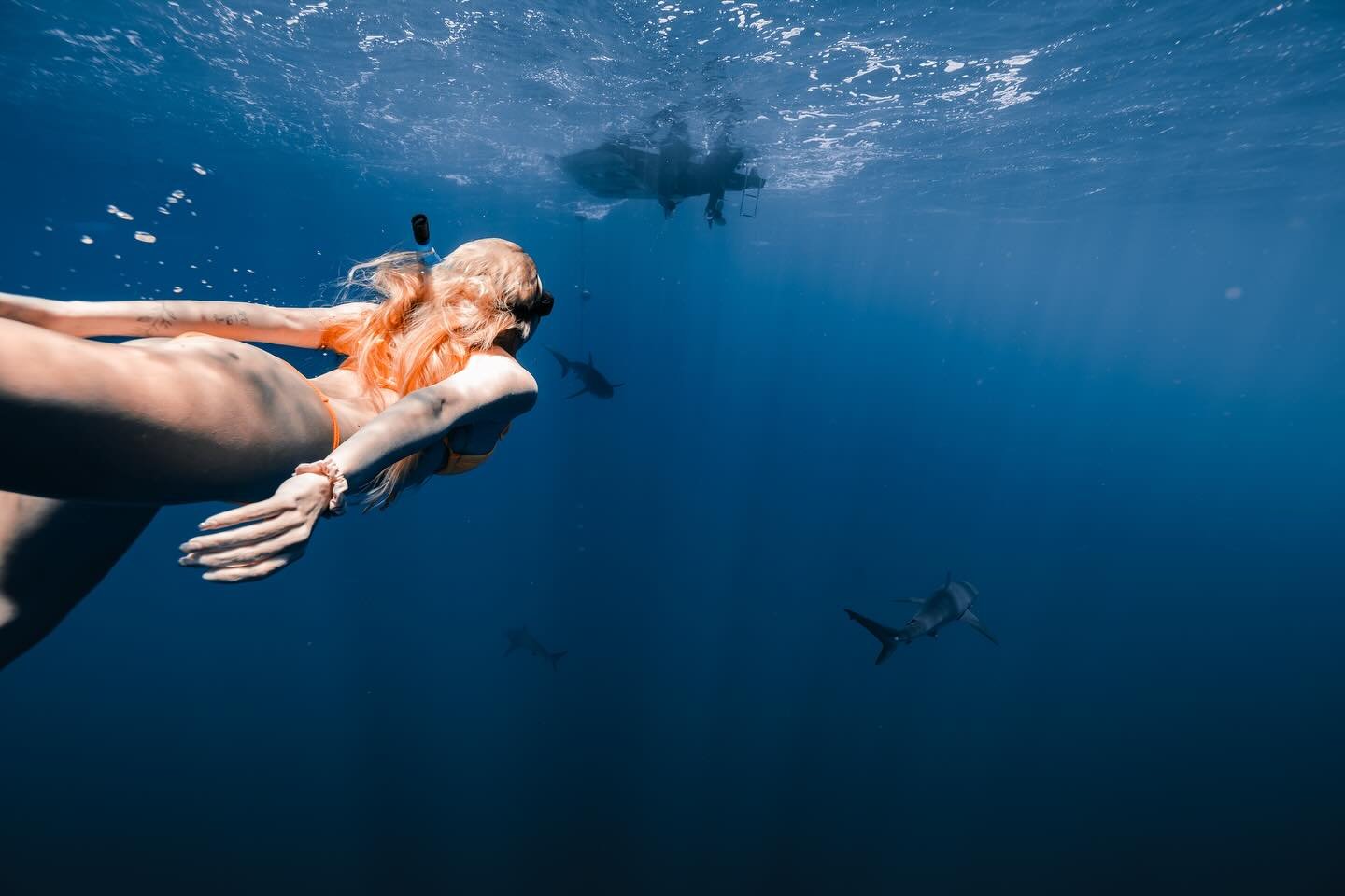 Sometimes the best way to experience a place may not be flying over it but actually diving under! Some of the most amazing experiences in the world revolve around the dives and snorkeling you can experience in a tropical place.

Interested in booking