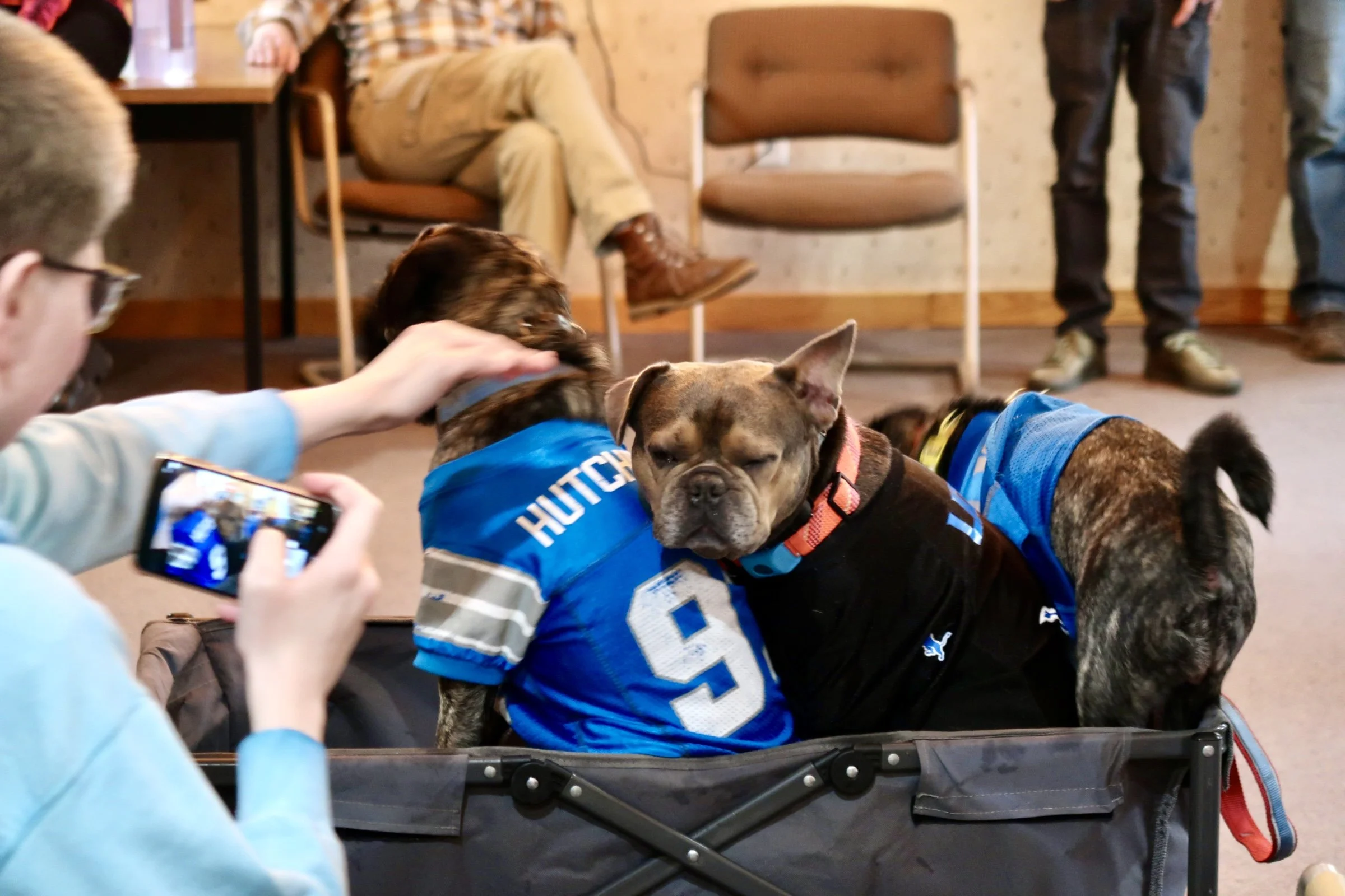Dog Show 3 - auth use.JPG