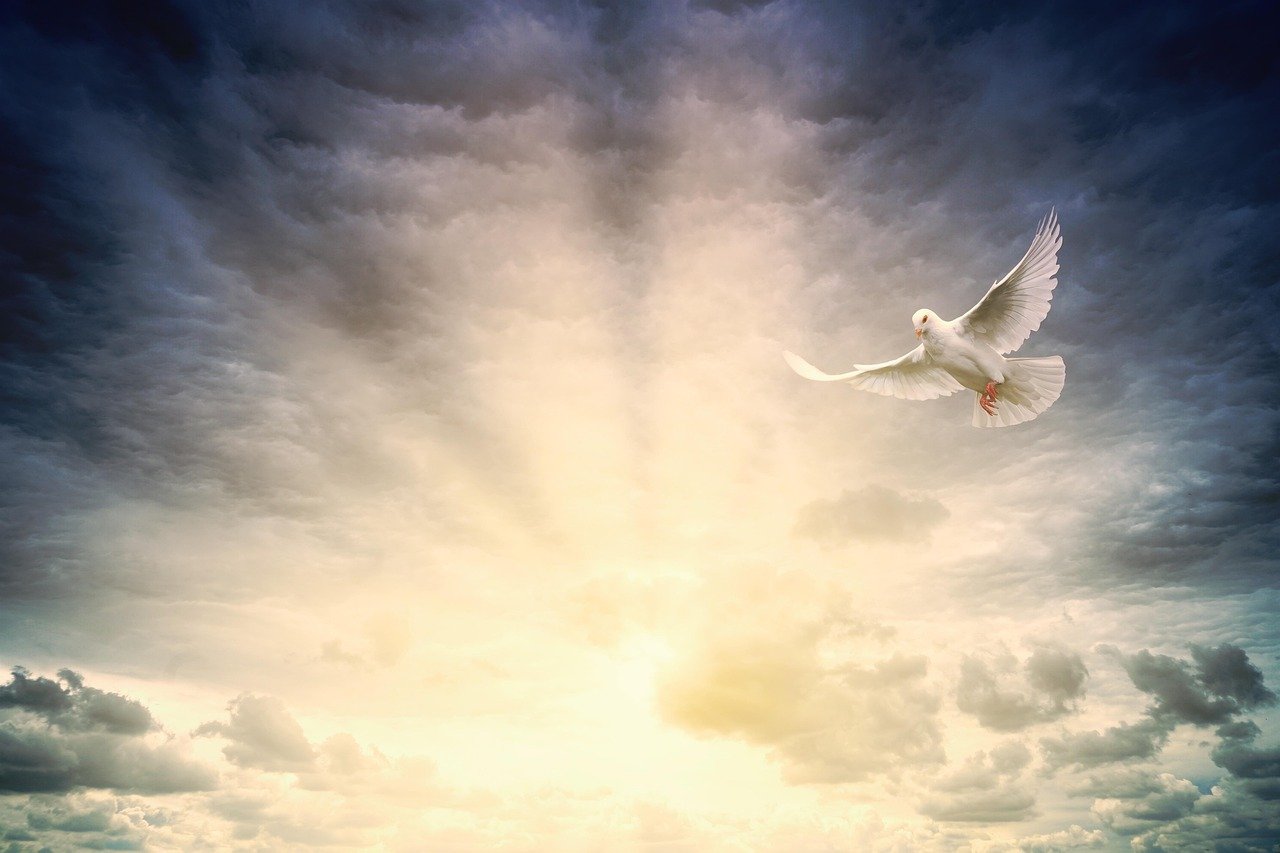 A Spiritual Practice to Help You Reconnect With God