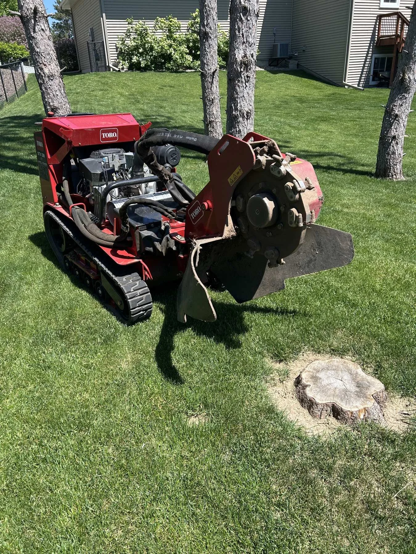 stump-grinding-3.jpg