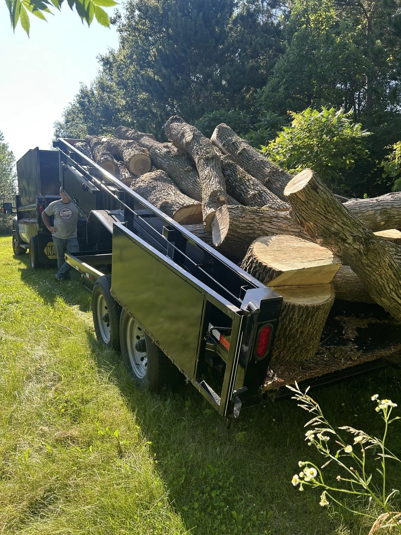 tree-removal-9.jpg