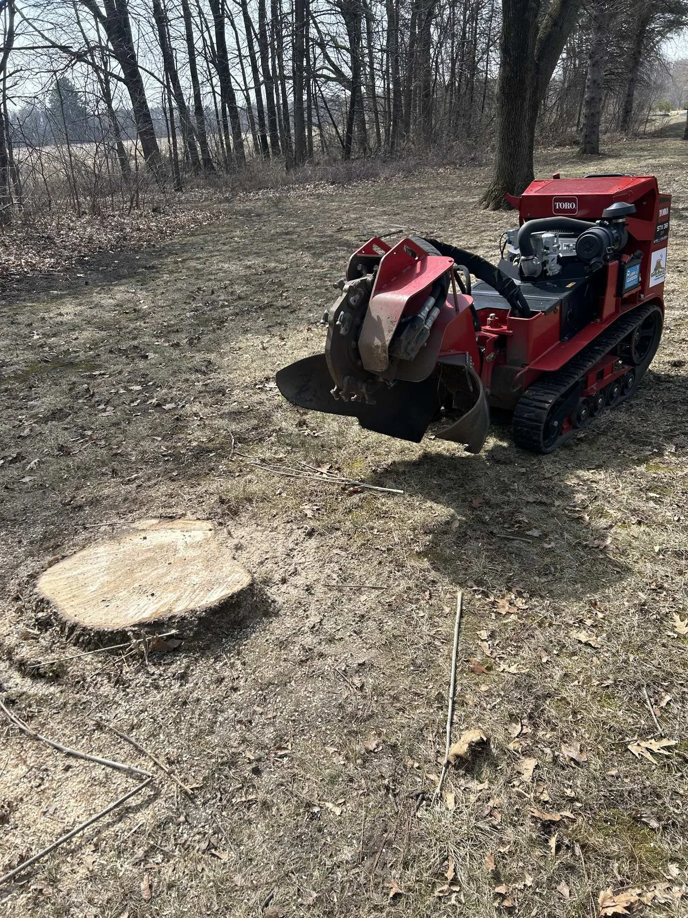 stump-grinding-1.jpg