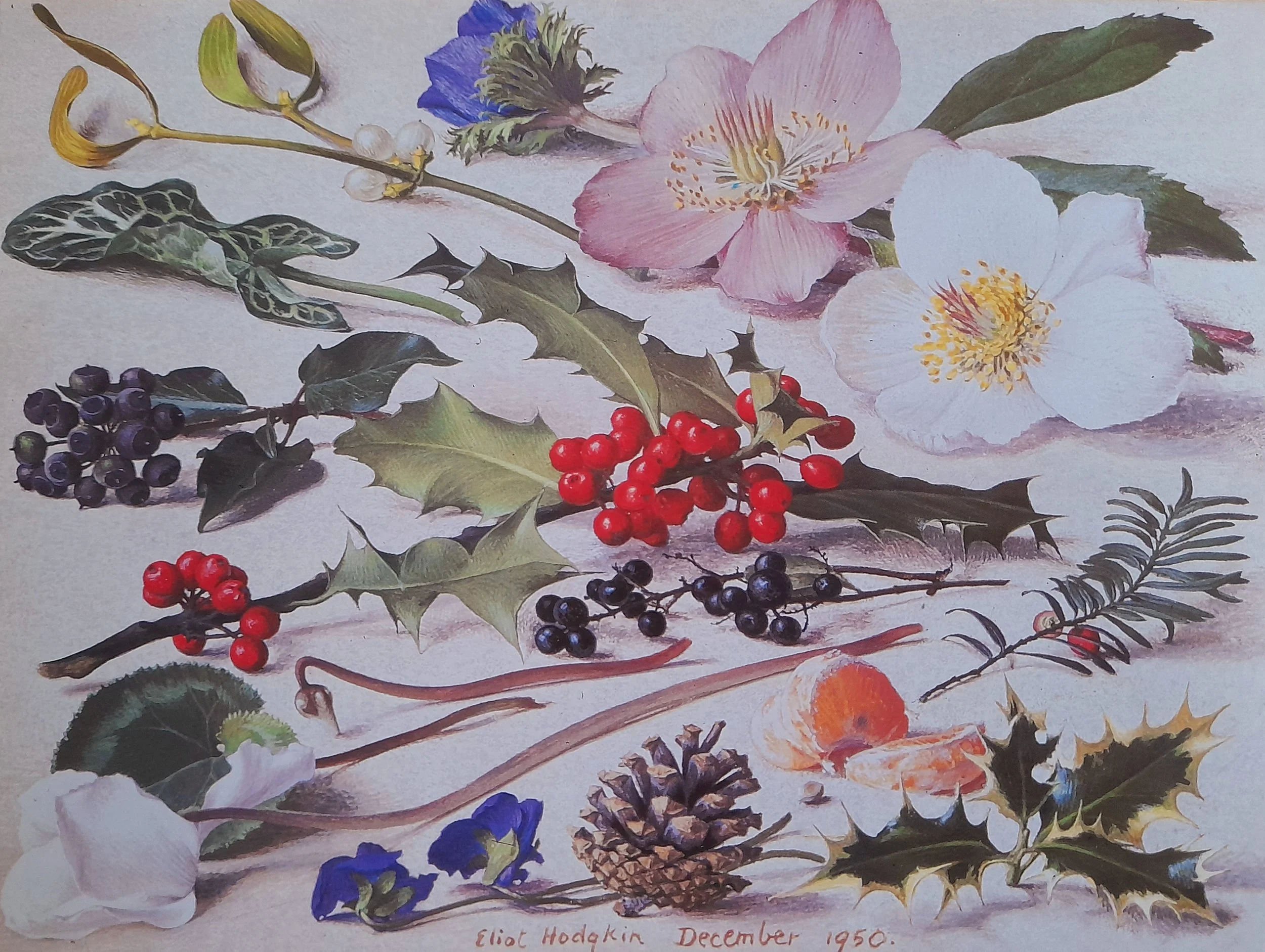 December pack of 5 large blank greetings cards