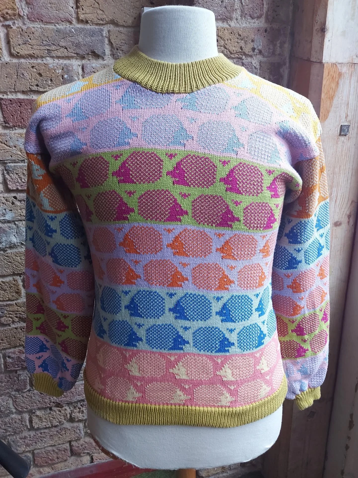 Our volunteer, Inbar, has made this fantastic jumper with some of the surplus yarn from our stock. She has such a great eye for colour combinations, and we love the hedgehog motif, which will bring a smile to every outing. 

Thank you, Inbar.  This i