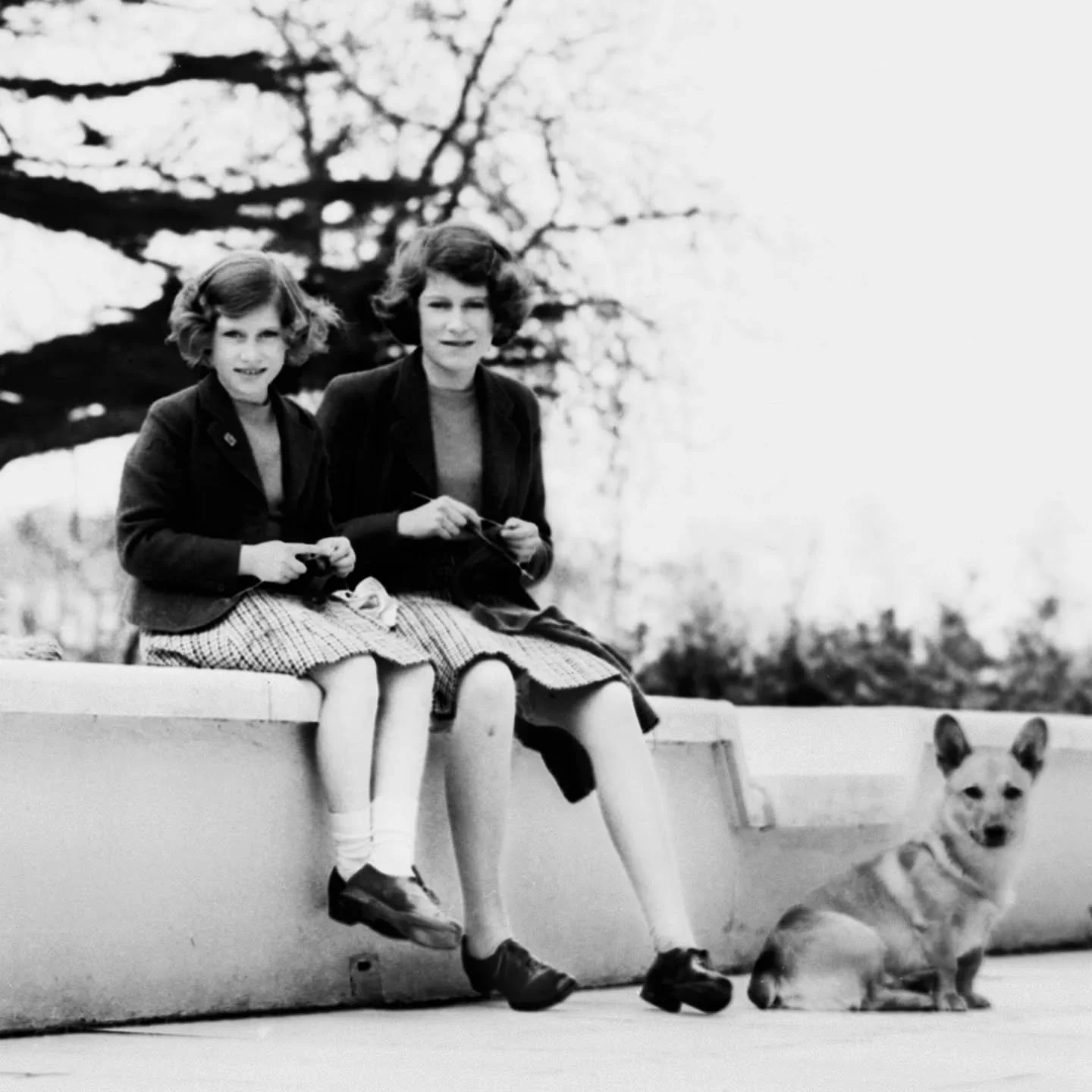 A simple search will come up with a host of celebrities who knit. From Tom Daley to Patrick Stewart and from Marilyn Munroe to Catherine Zeta-Jones, but a deeper search will reveal the names of royalty involved in the craft.

Queen Elizabeth I favour