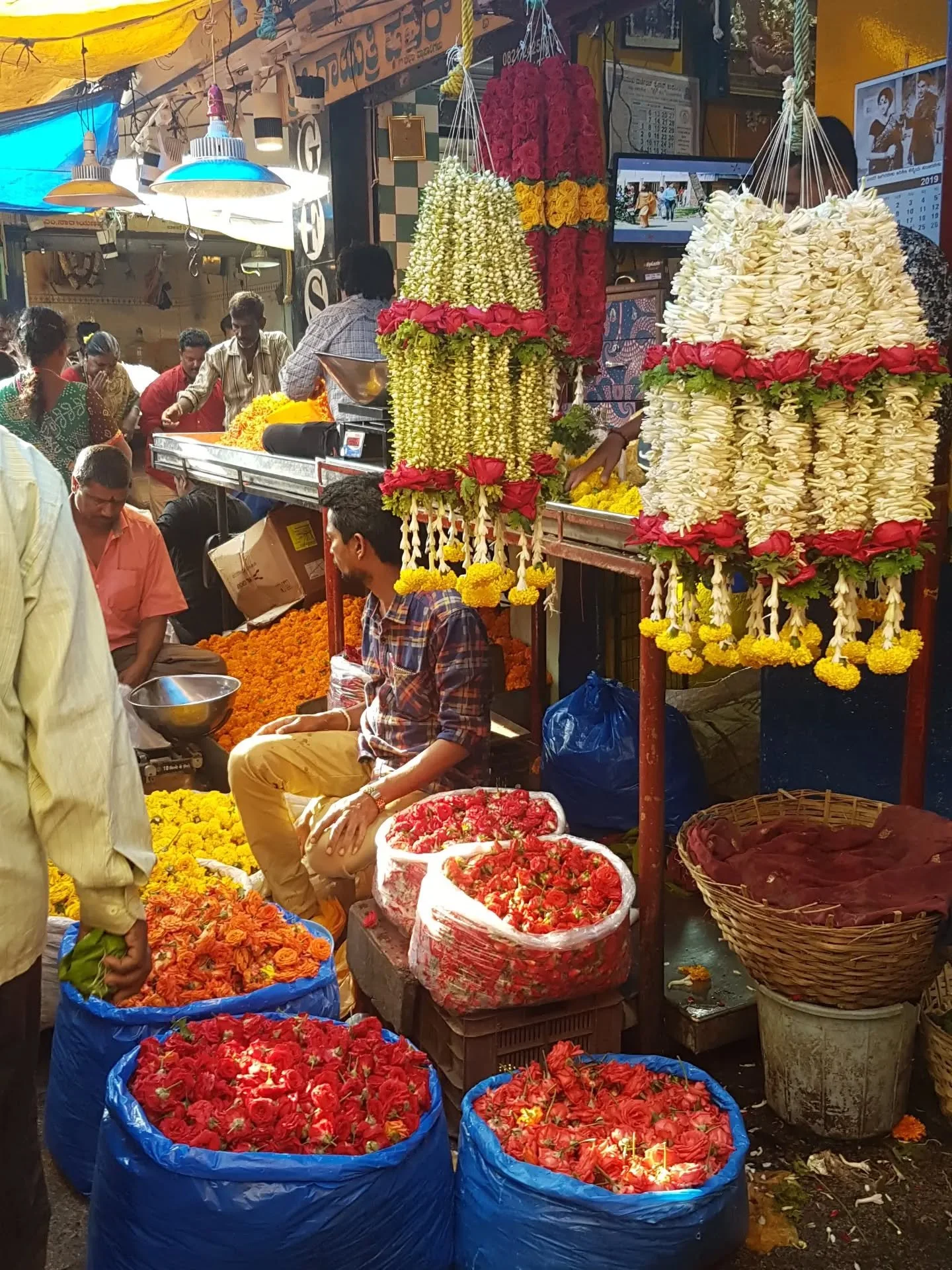 There are a couple of places available on our January 2027 Mysore Retreat led by Jane Crowfoot.  Details are on our website. Contact us if you're interested in joining us. We'd love to see you there!

https://www.knitforpeace.org.uk/retreat

#kfpretr