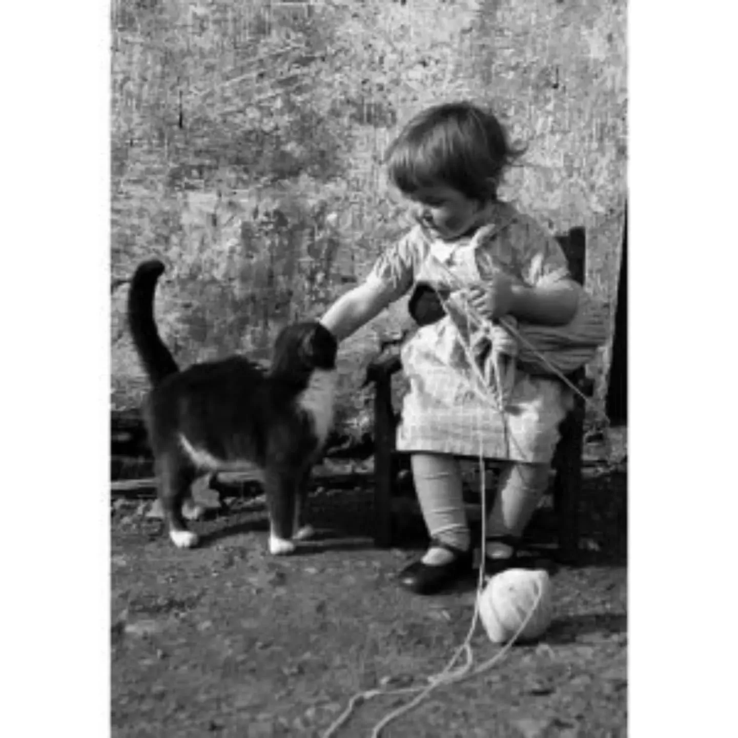 As well as a range of yarns, we also have a selection of blank greetings cards for sale in our online shop.

Go on!  Have a browse!

Thank you for your support. 

https://www.knitforpeace.org.uk/shop/greeting-cards

#kfpshop #greetingscards #charityc