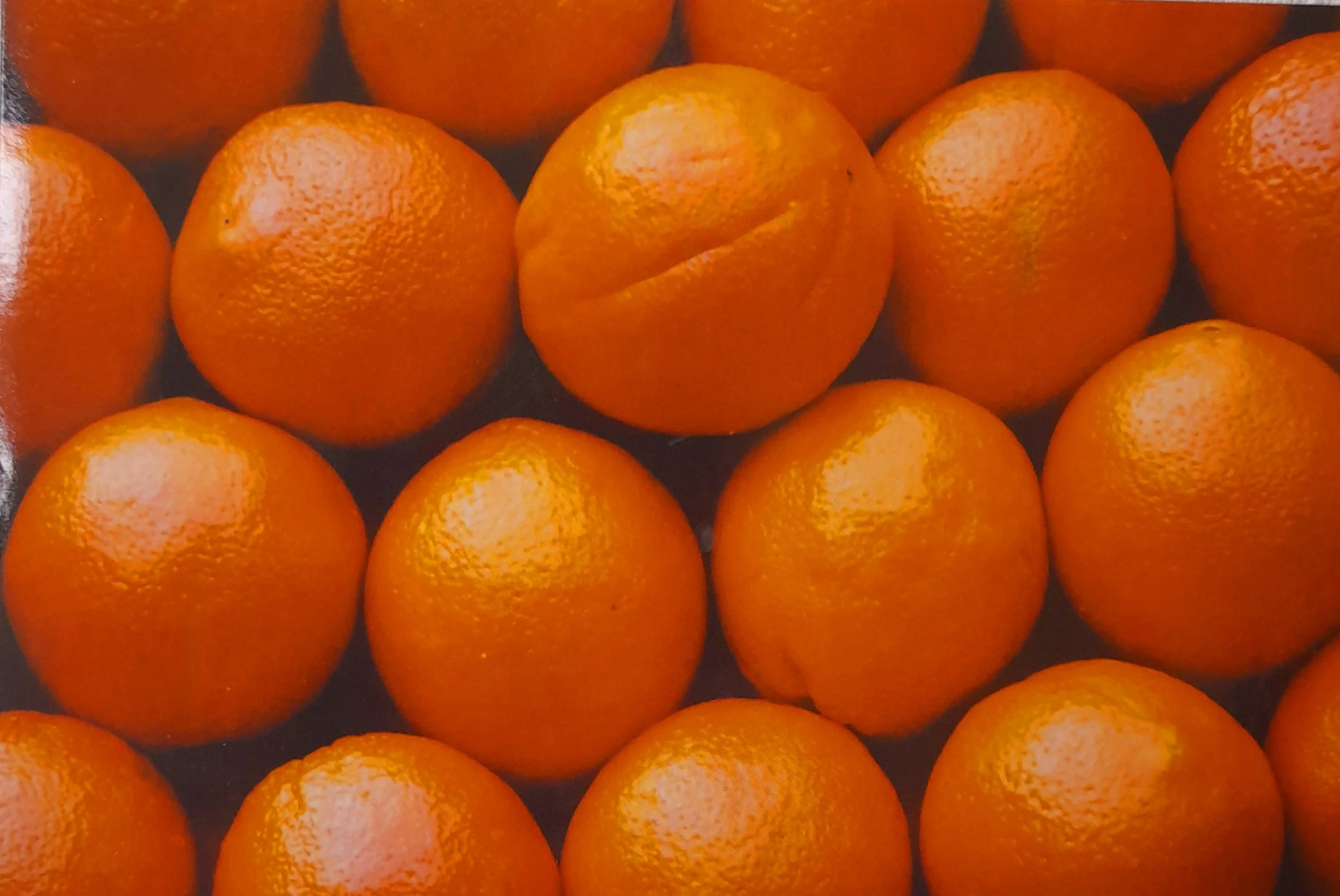 CH3 Oranges pack of 10 medium Christmas Cards Christmas Hamper