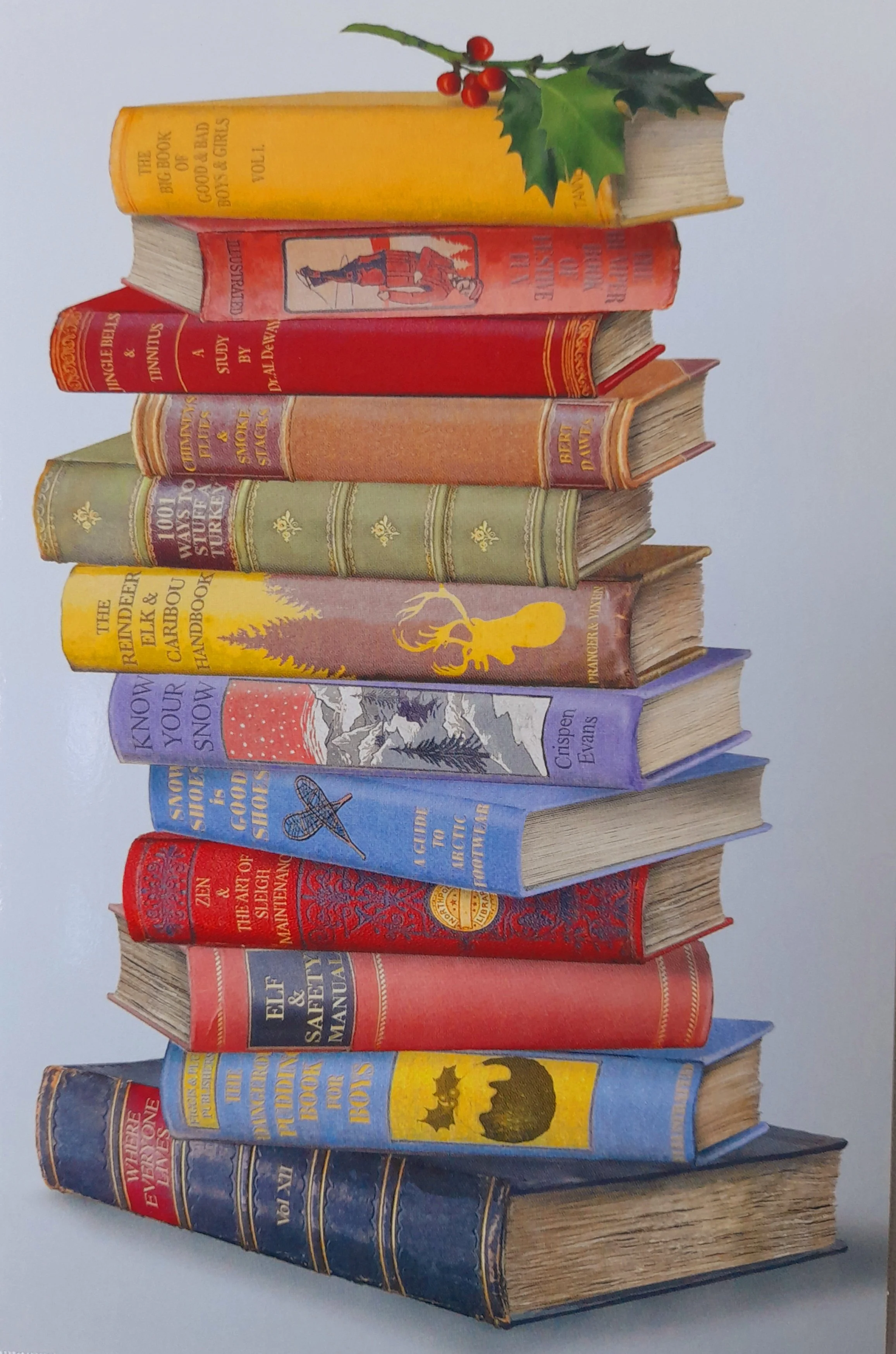 GOS5 Christmas Book Pile pack of 10 medium Christmas Cards Gift of Sight