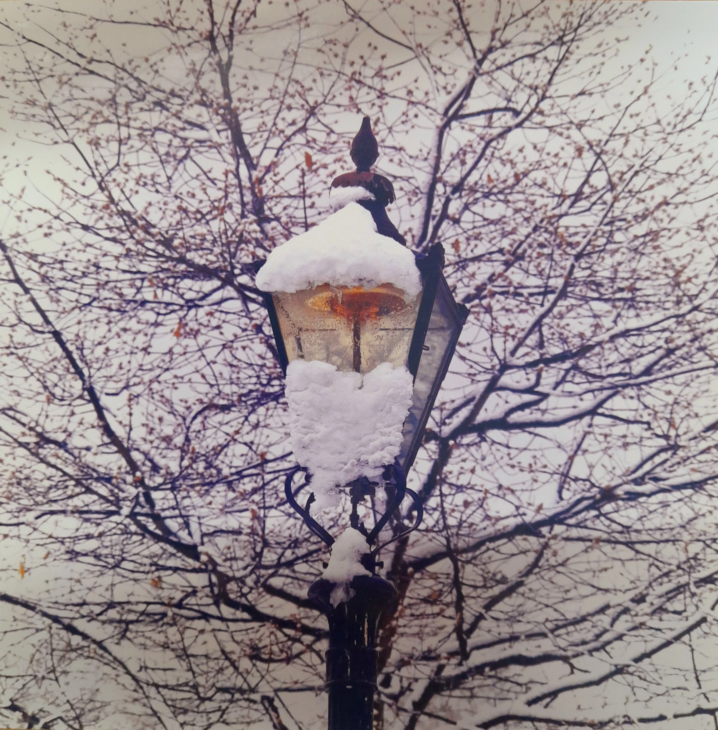 AA1 Arts Acess Winter Lights.jpg