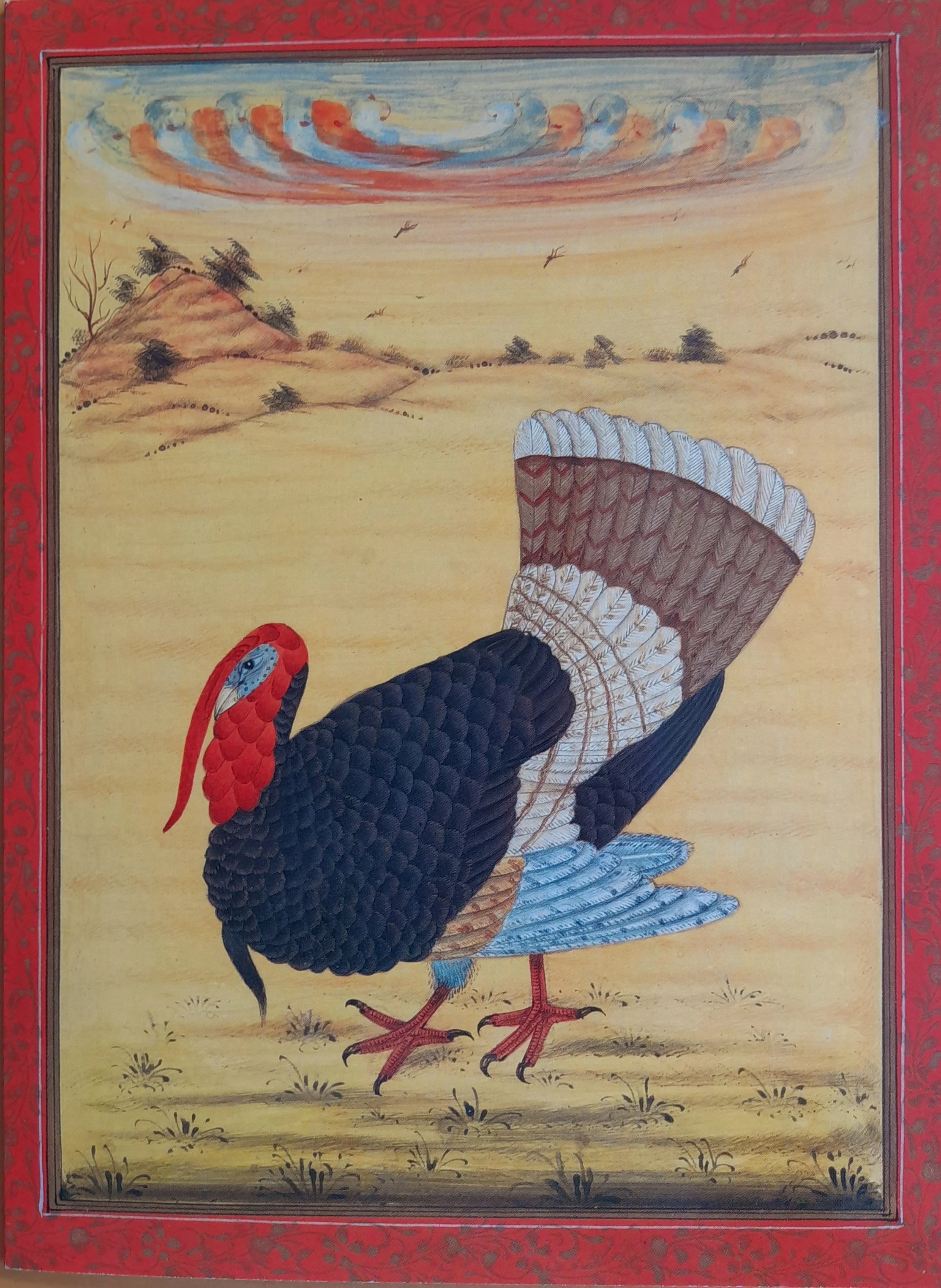 Turkey pack of 5 Blank Greetings Cards