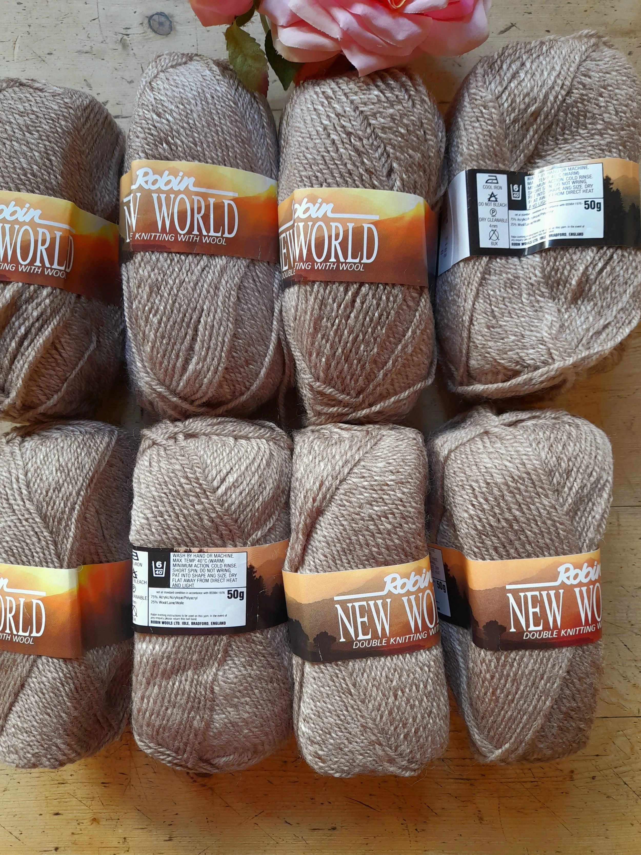 Robin New World DK.jpg
