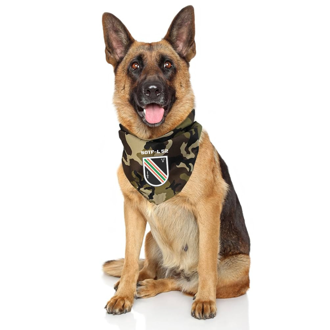German Shepherd dog wearing a camouflage bandana with military insignia, sitting against a white background.