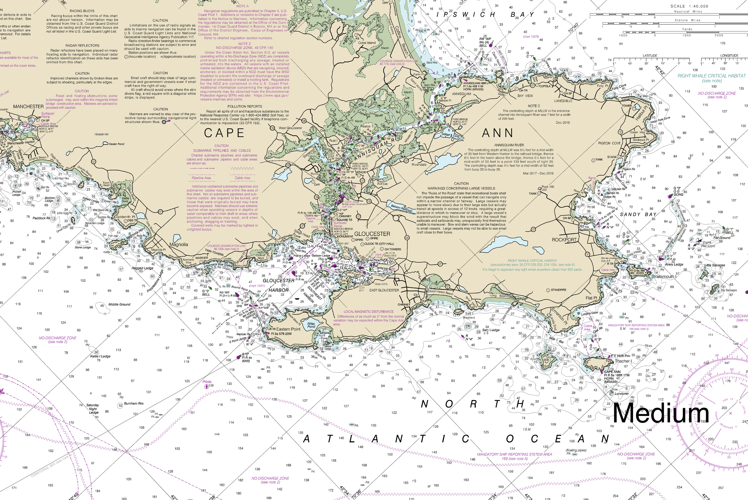 13274 Gloucester_ Manchester to Halibut Point MD.png