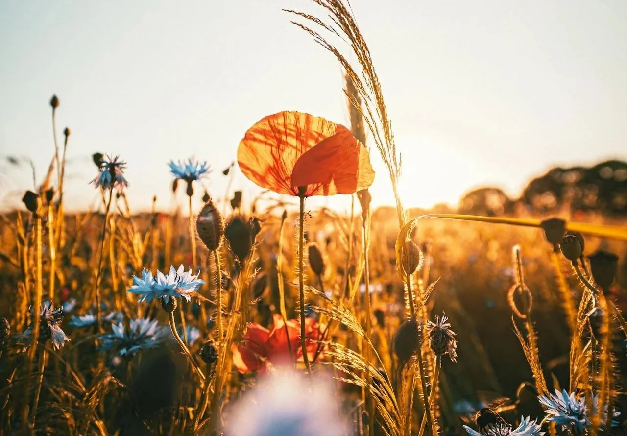  Simple Breathwork Practices for Stress Relief