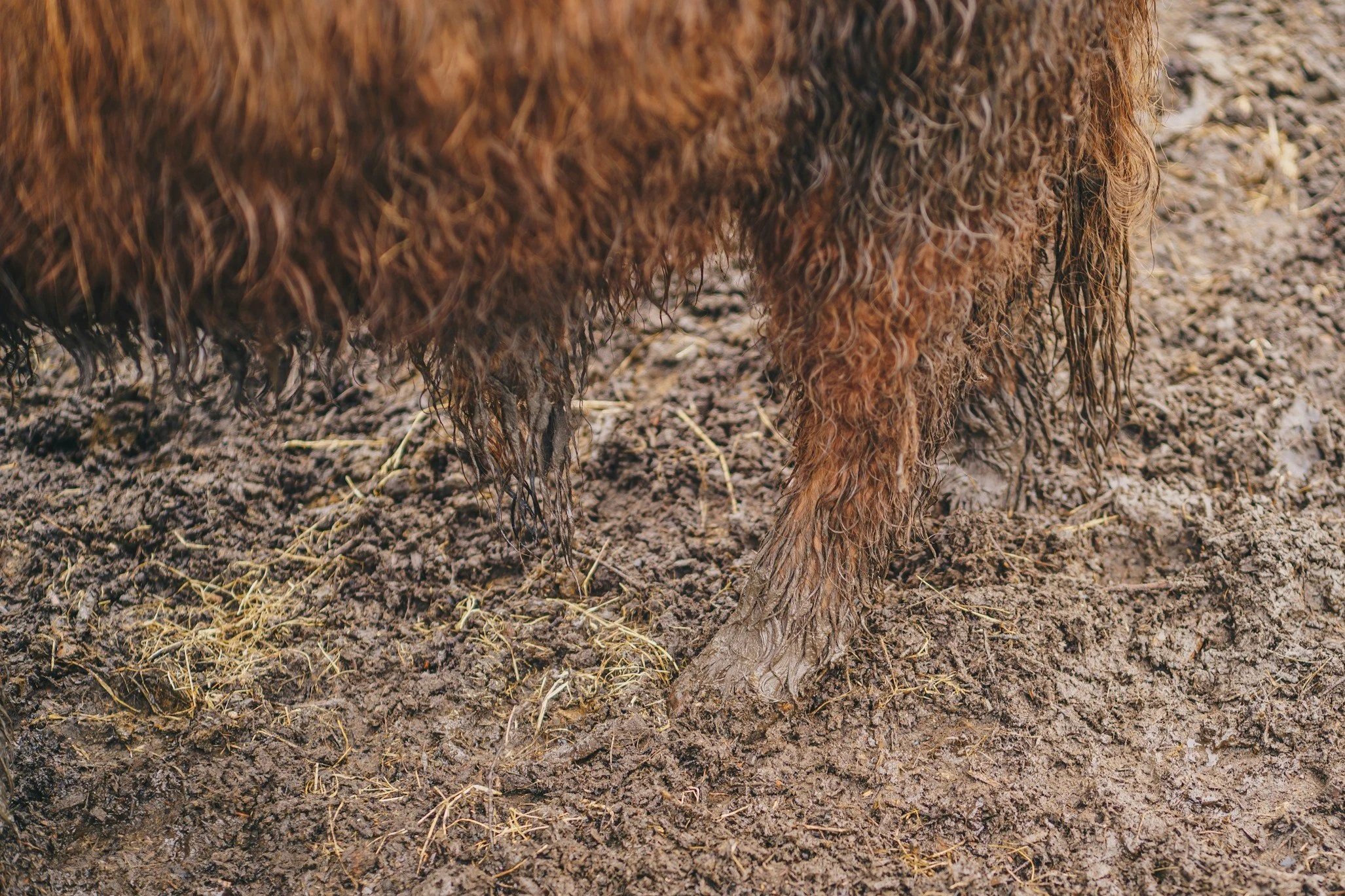 Less mud, more gain: Practical ways to manage mud