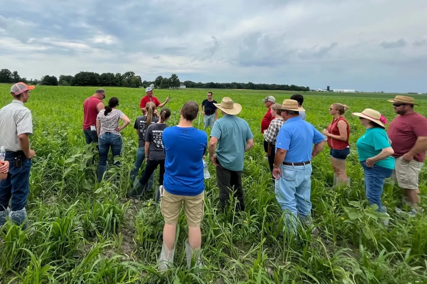 people standing in a pasture